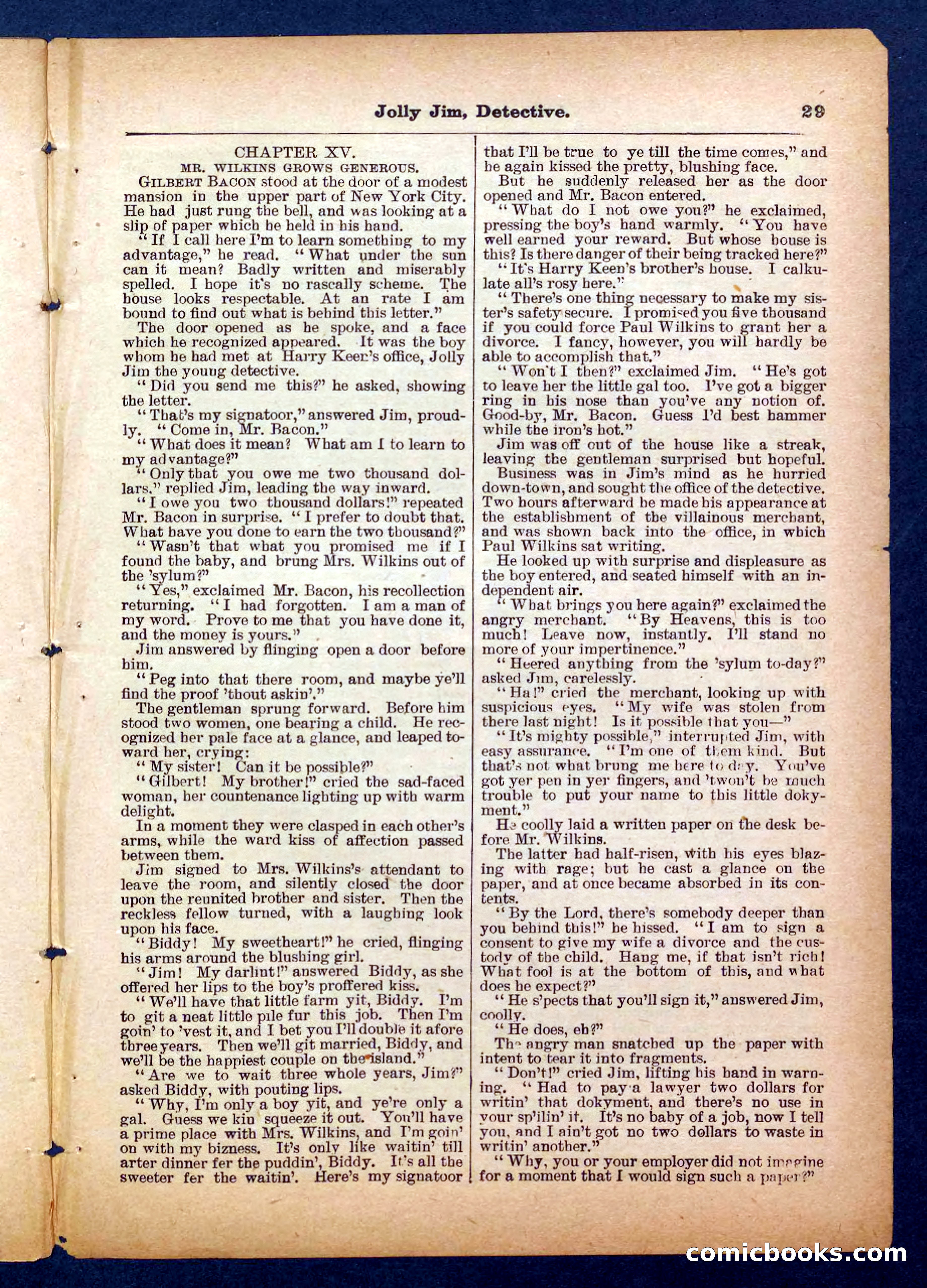 Beadle's Pocket Library No. 255: Jolly Jim, Detective — page 29 of 32