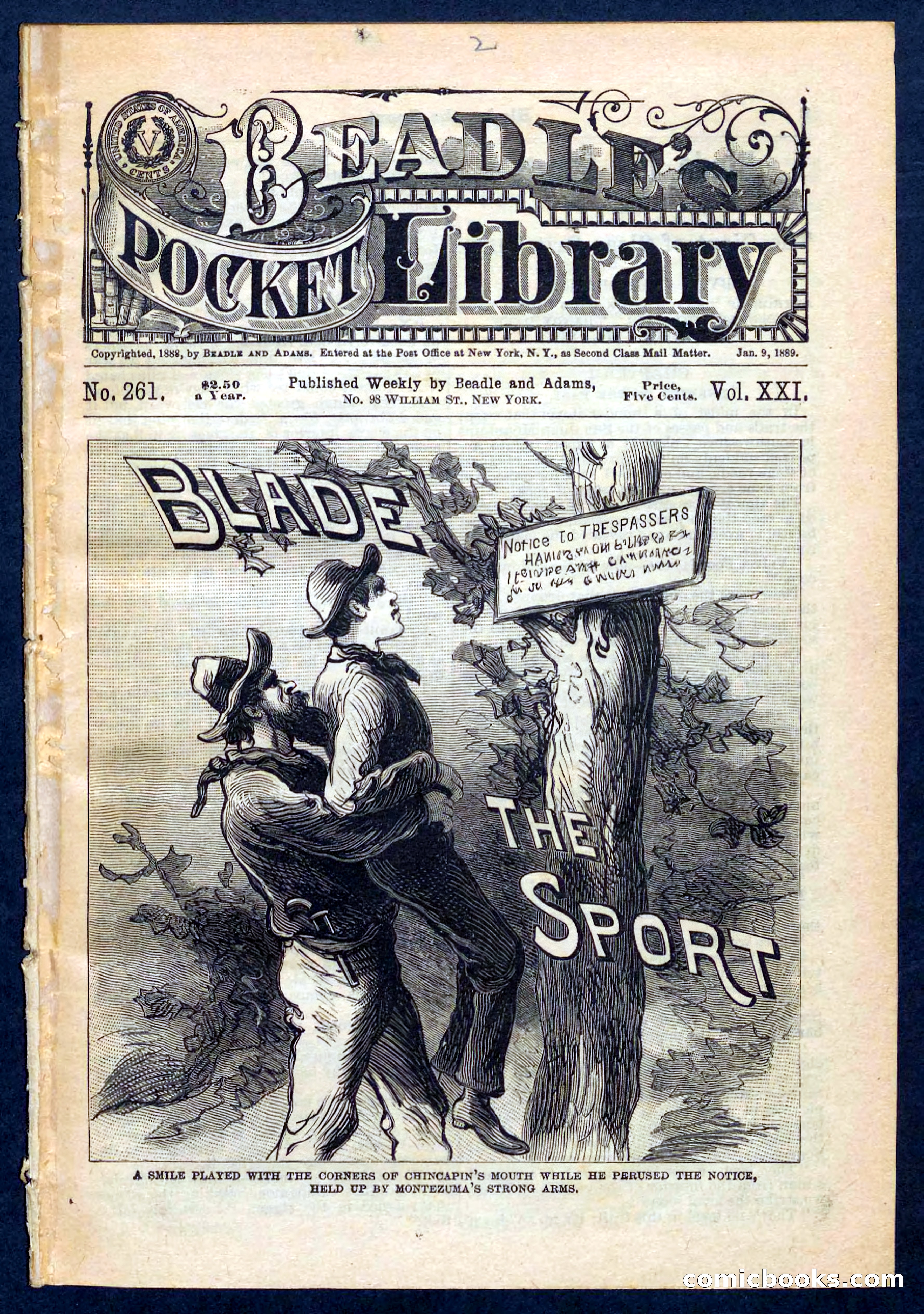 Beadle's Pocket Library No. 261 — page 1 of 32