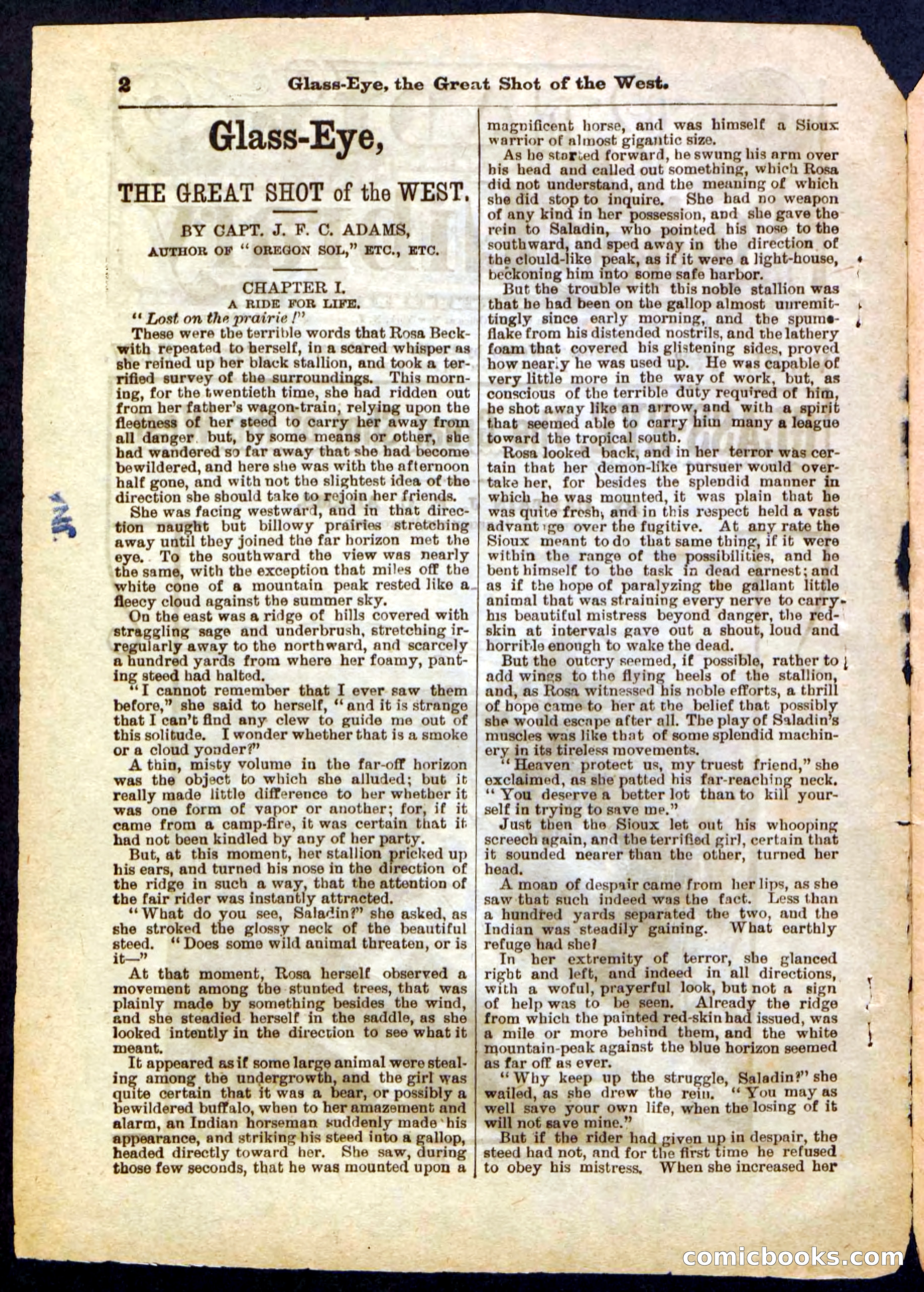 Beadle's Pocket Library No. 27 — page 2 of 32