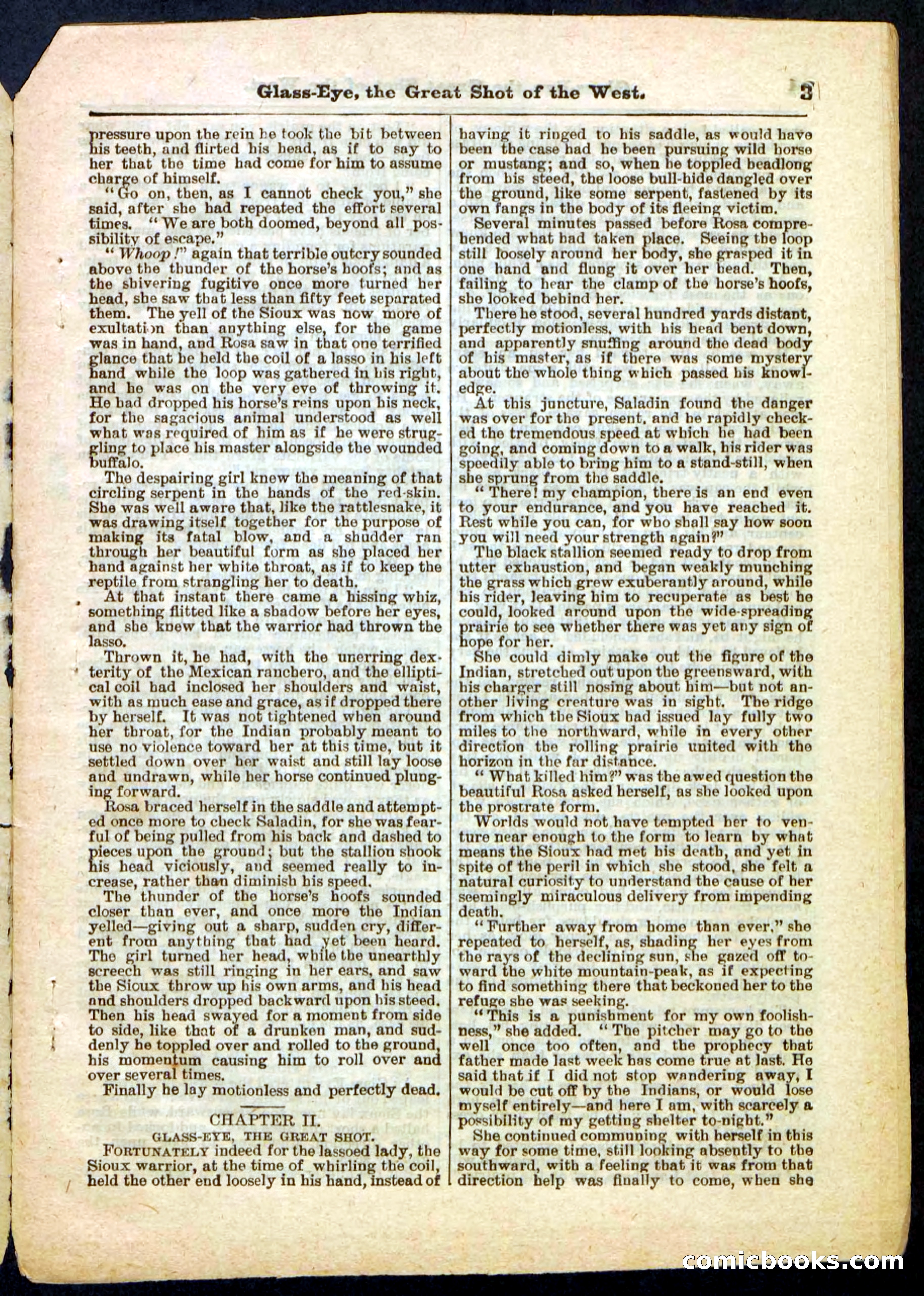 Beadle's Pocket Library No. 27 — page 3 of 32