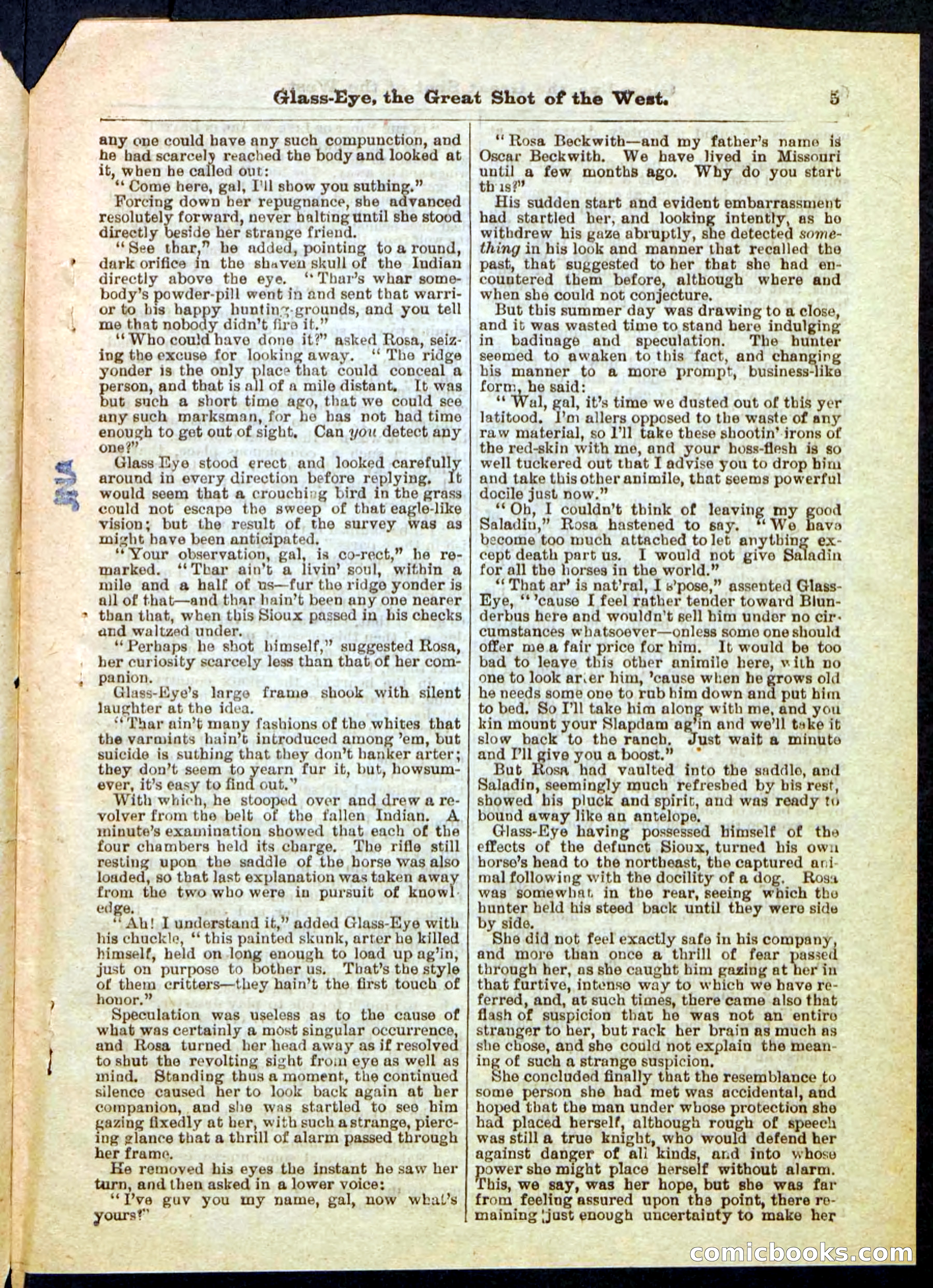Beadle's Pocket Library No. 27 — page 5 of 32