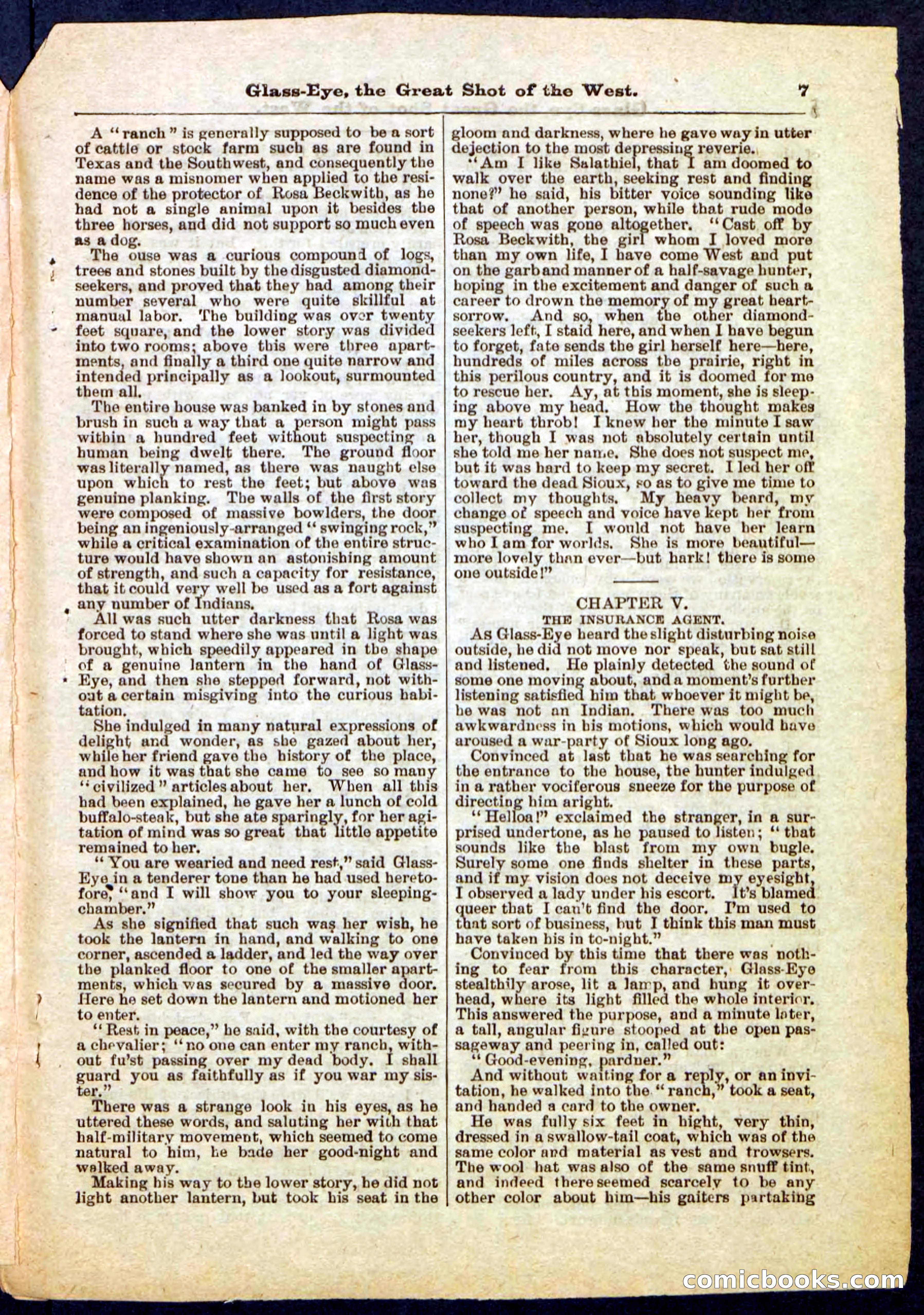Beadle's Pocket Library No. 27 — page 7 of 32