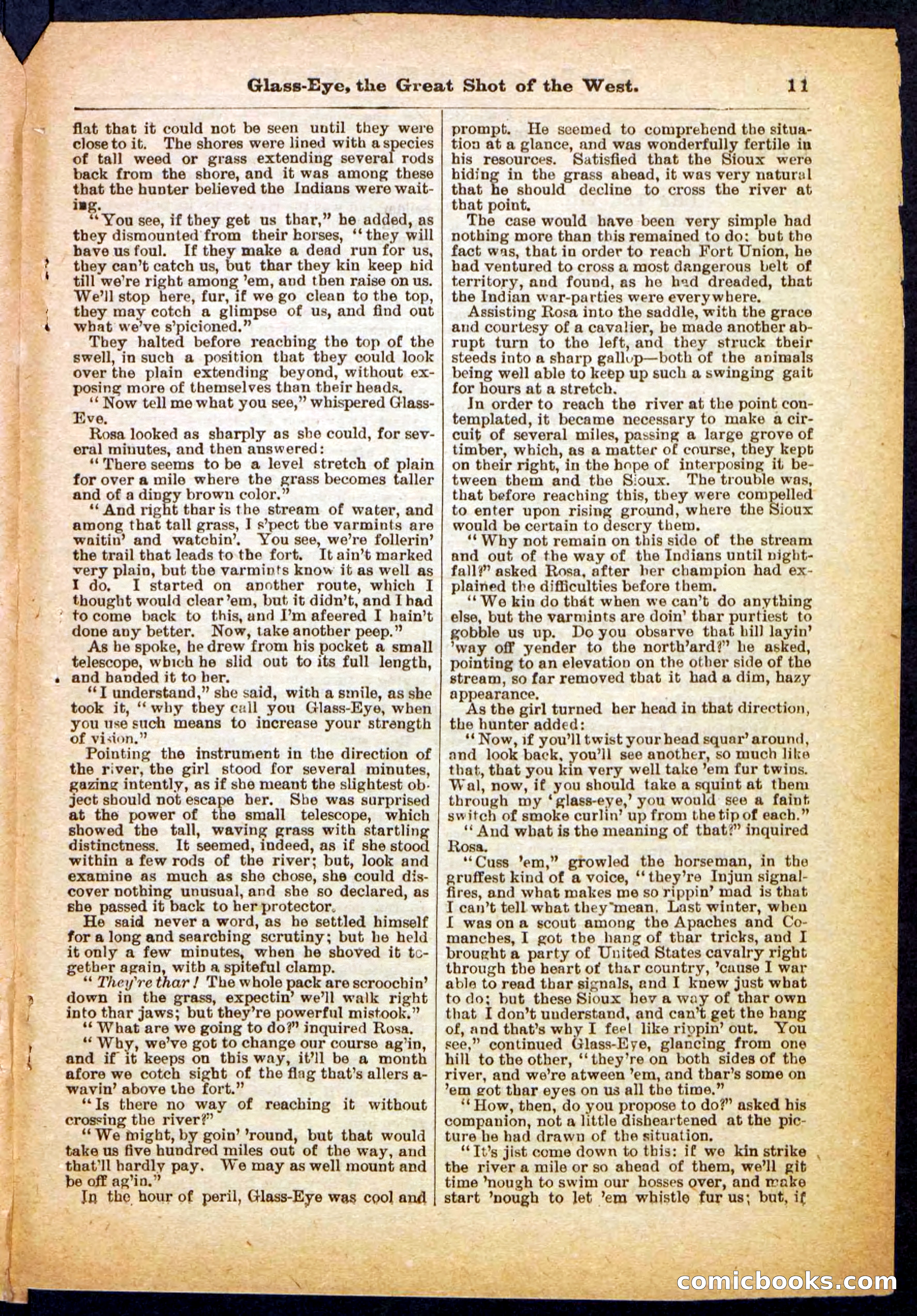 Beadle's Pocket Library No. 27 — page 11 of 32