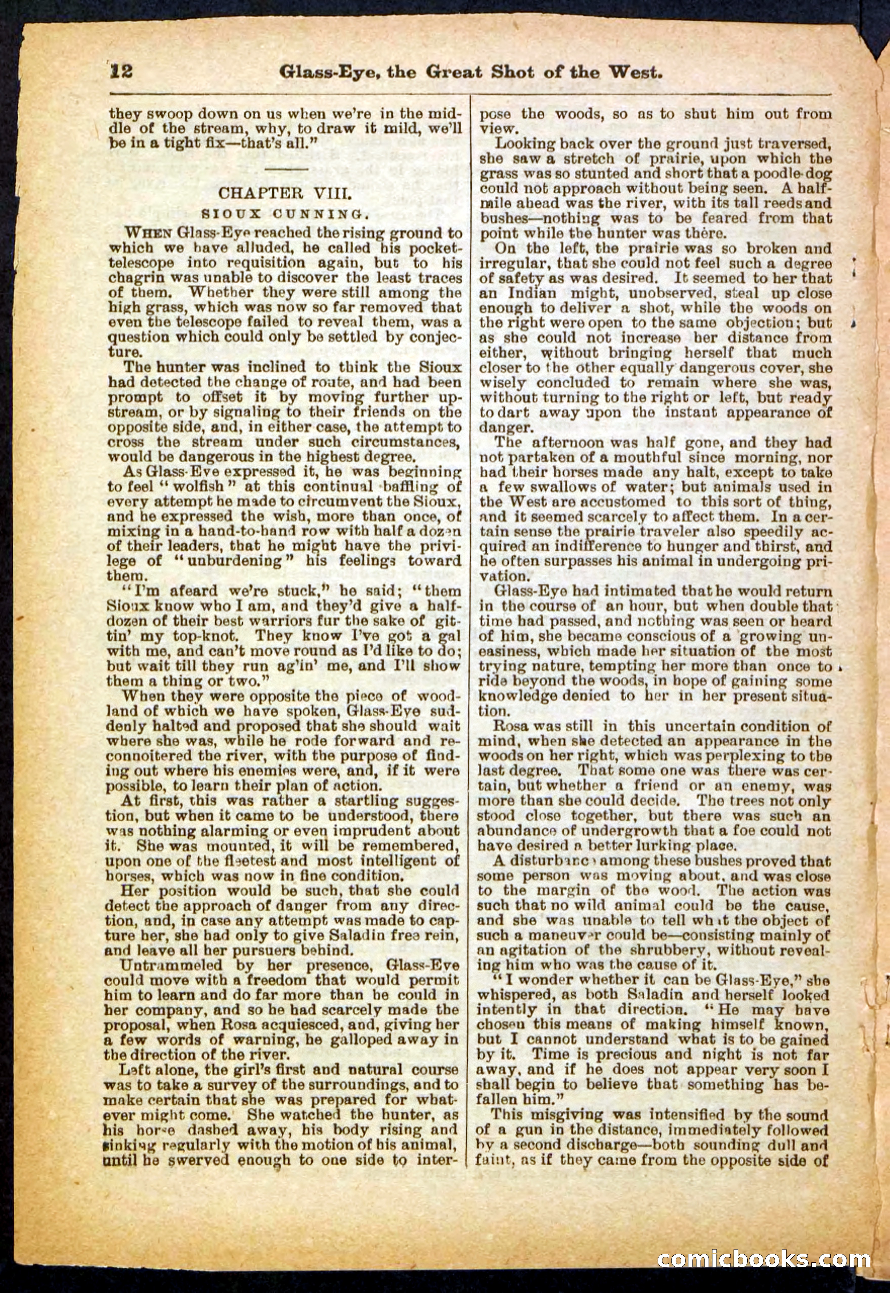 Beadle's Pocket Library No. 27 — page 12 of 32