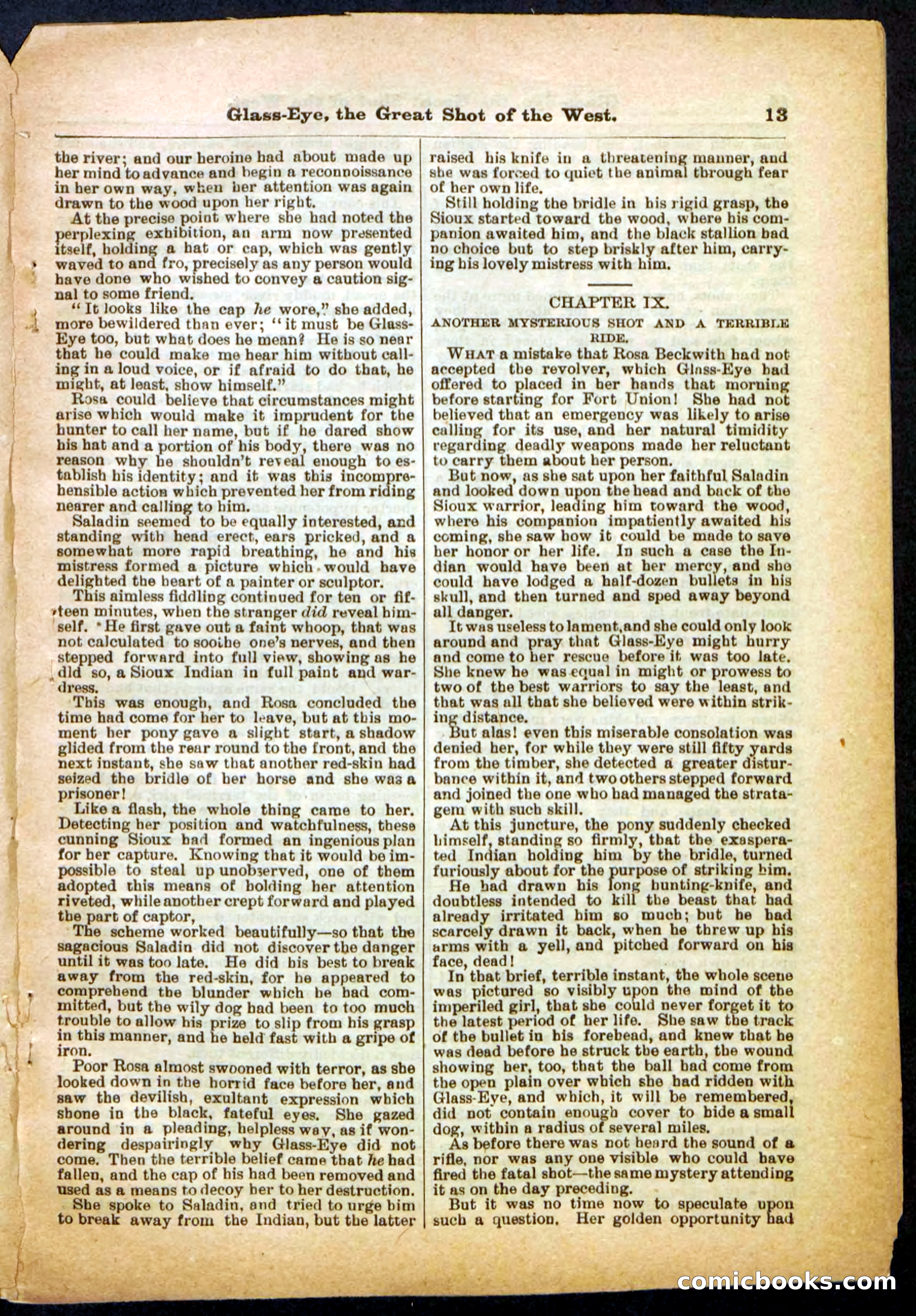 Beadle's Pocket Library No. 27 — page 13 of 32