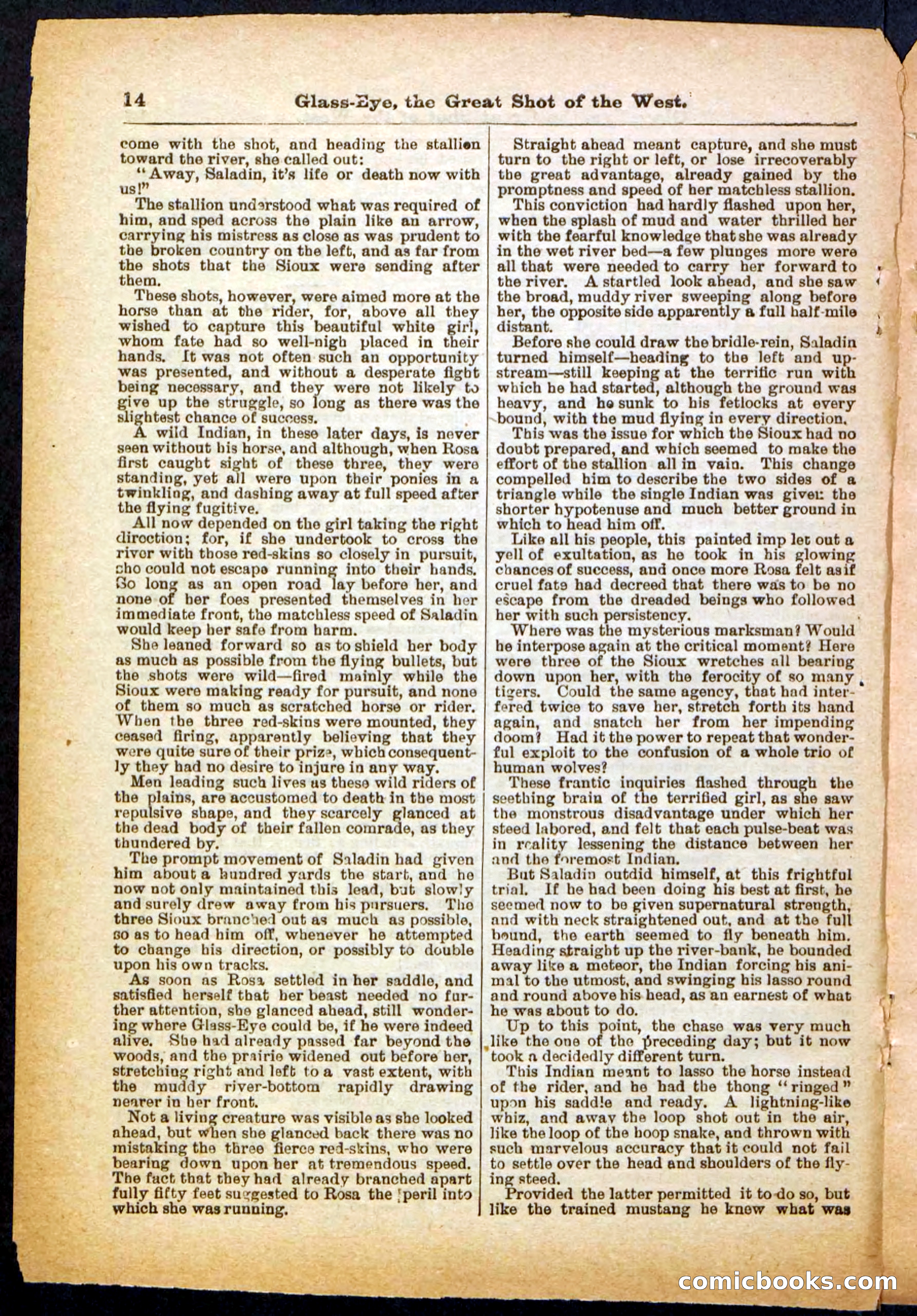 Beadle's Pocket Library No. 27 — page 14 of 32
