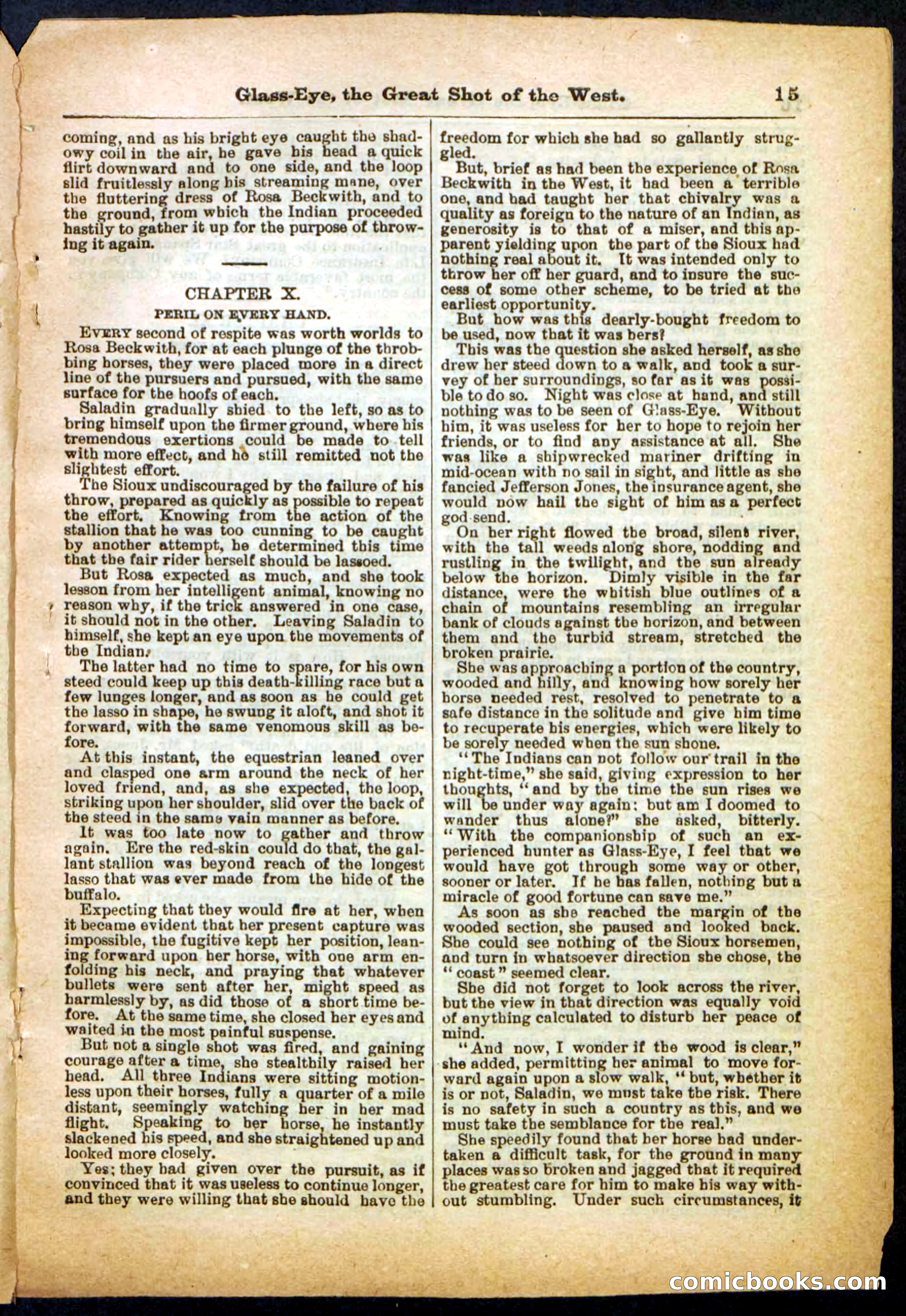 Beadle's Pocket Library No. 27 — page 15 of 32