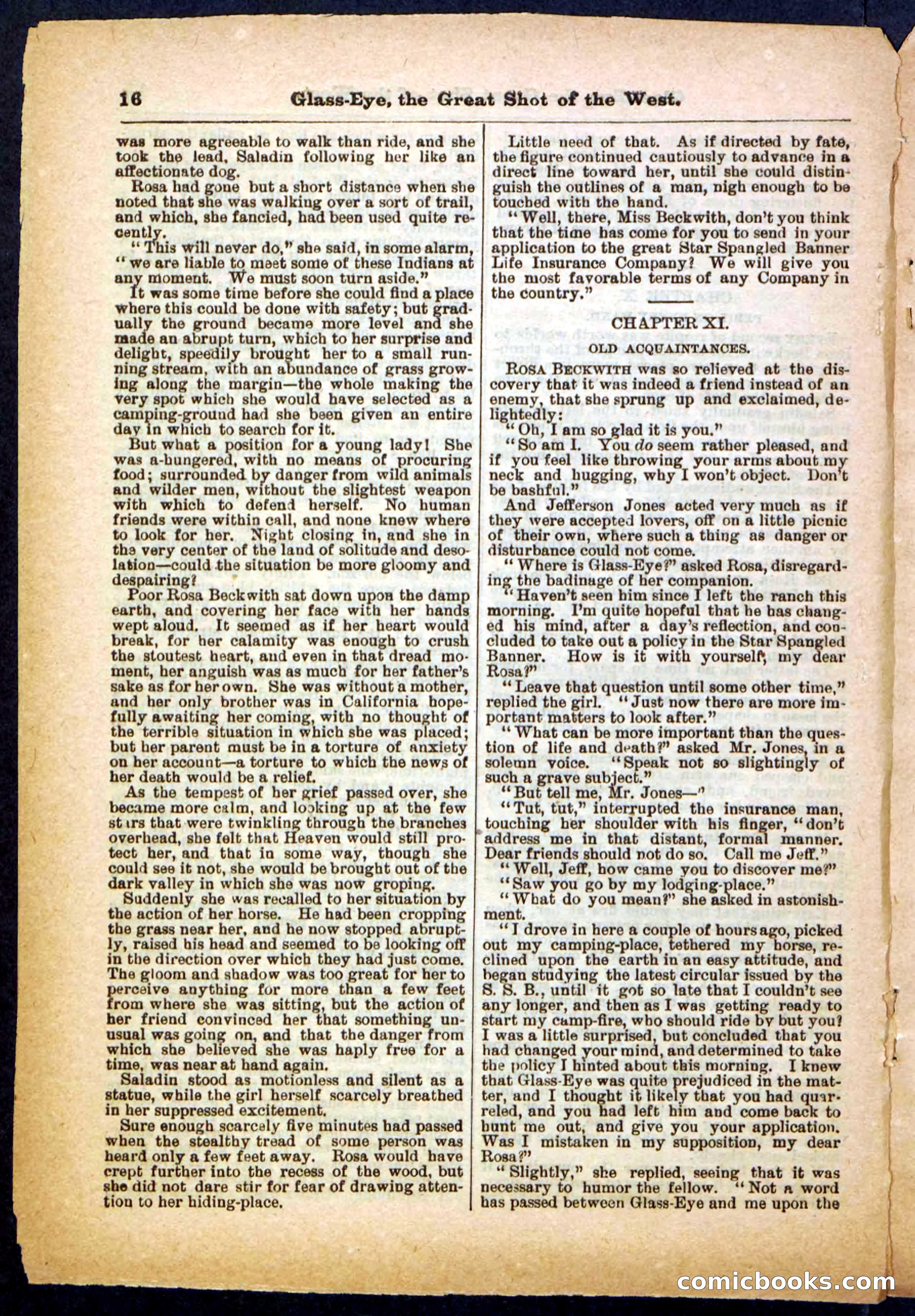 Beadle's Pocket Library No. 27 — page 16 of 32