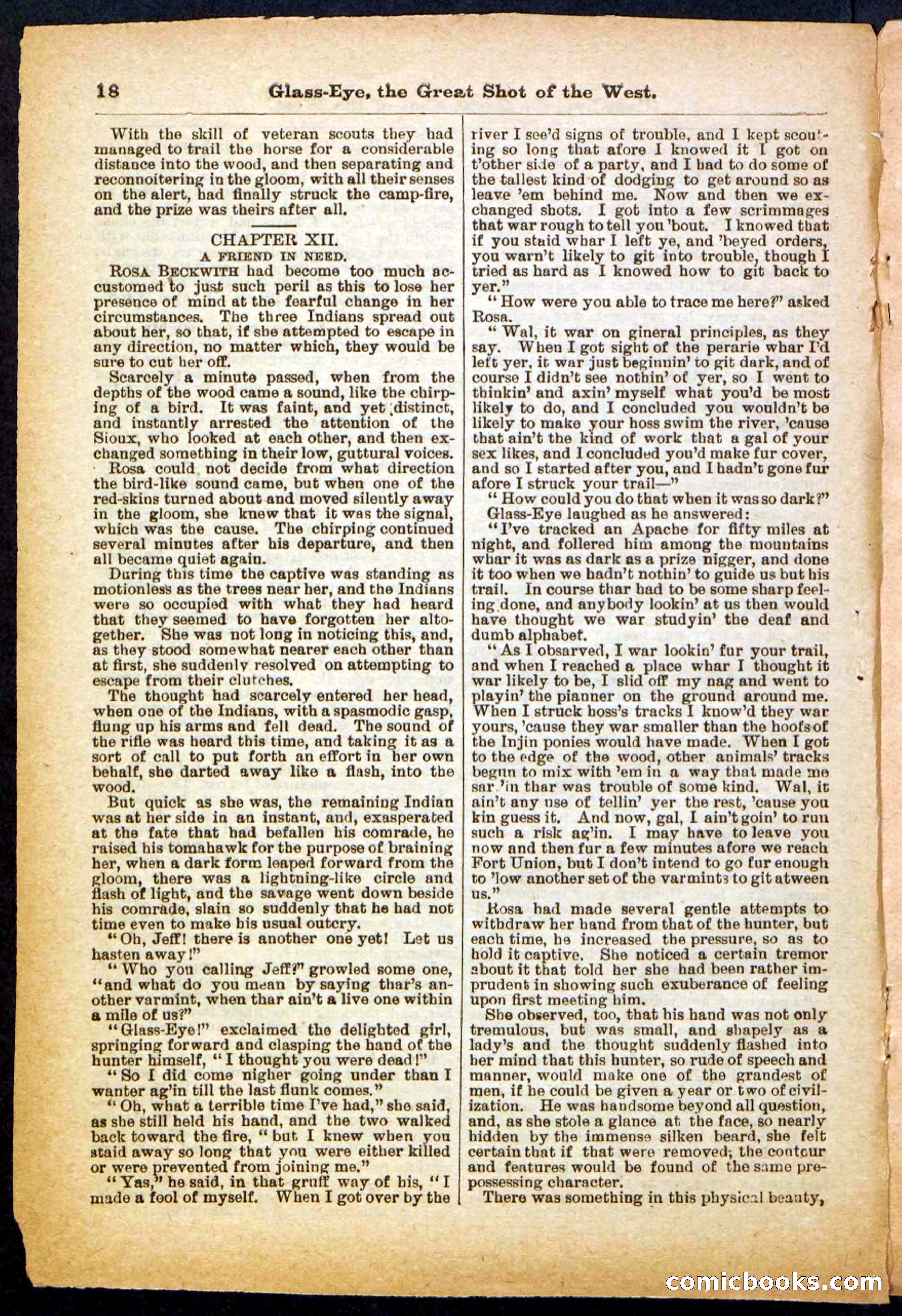 Beadle's Pocket Library No. 27 — page 18 of 32