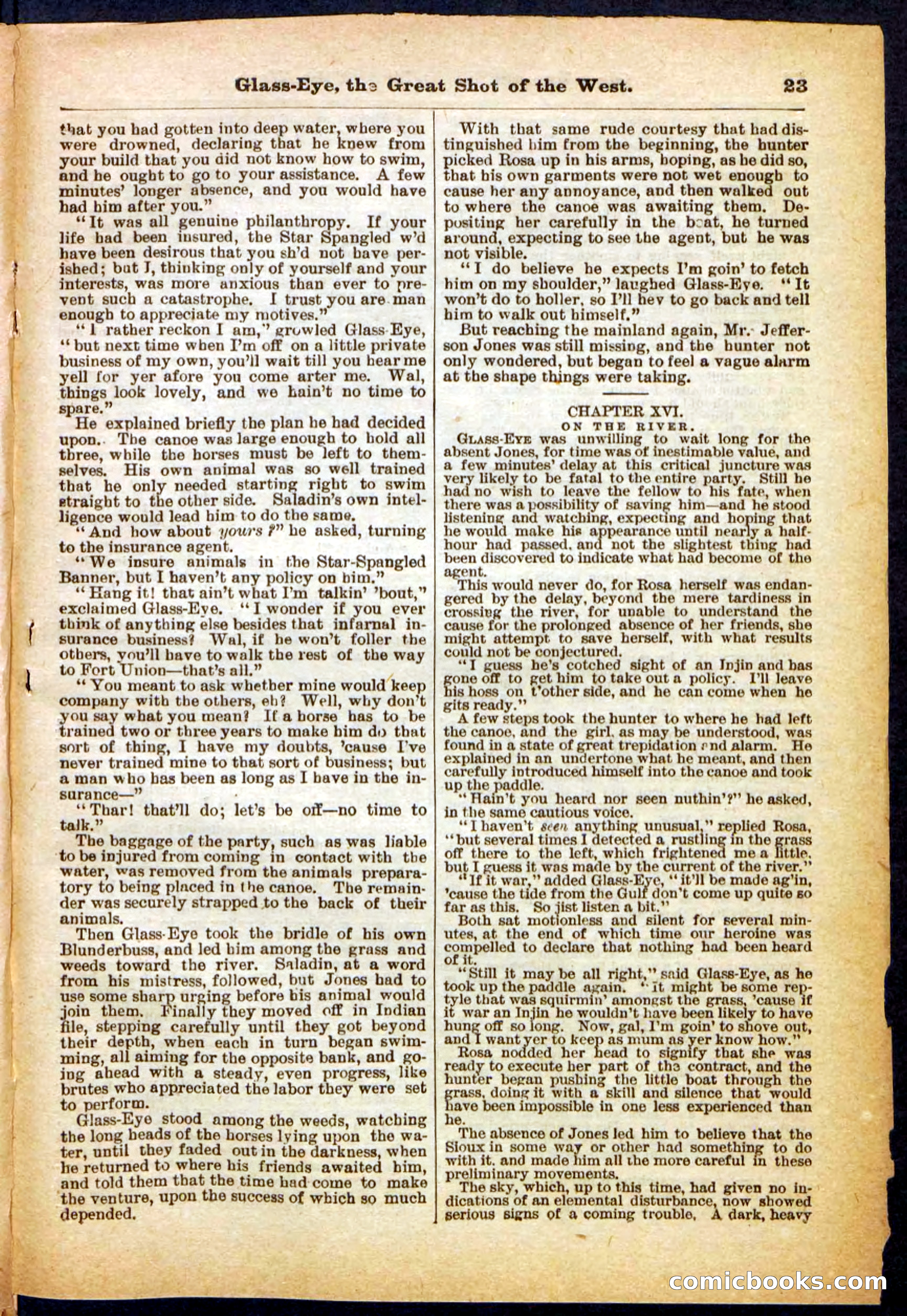 Beadle's Pocket Library No. 27 — page 23 of 32