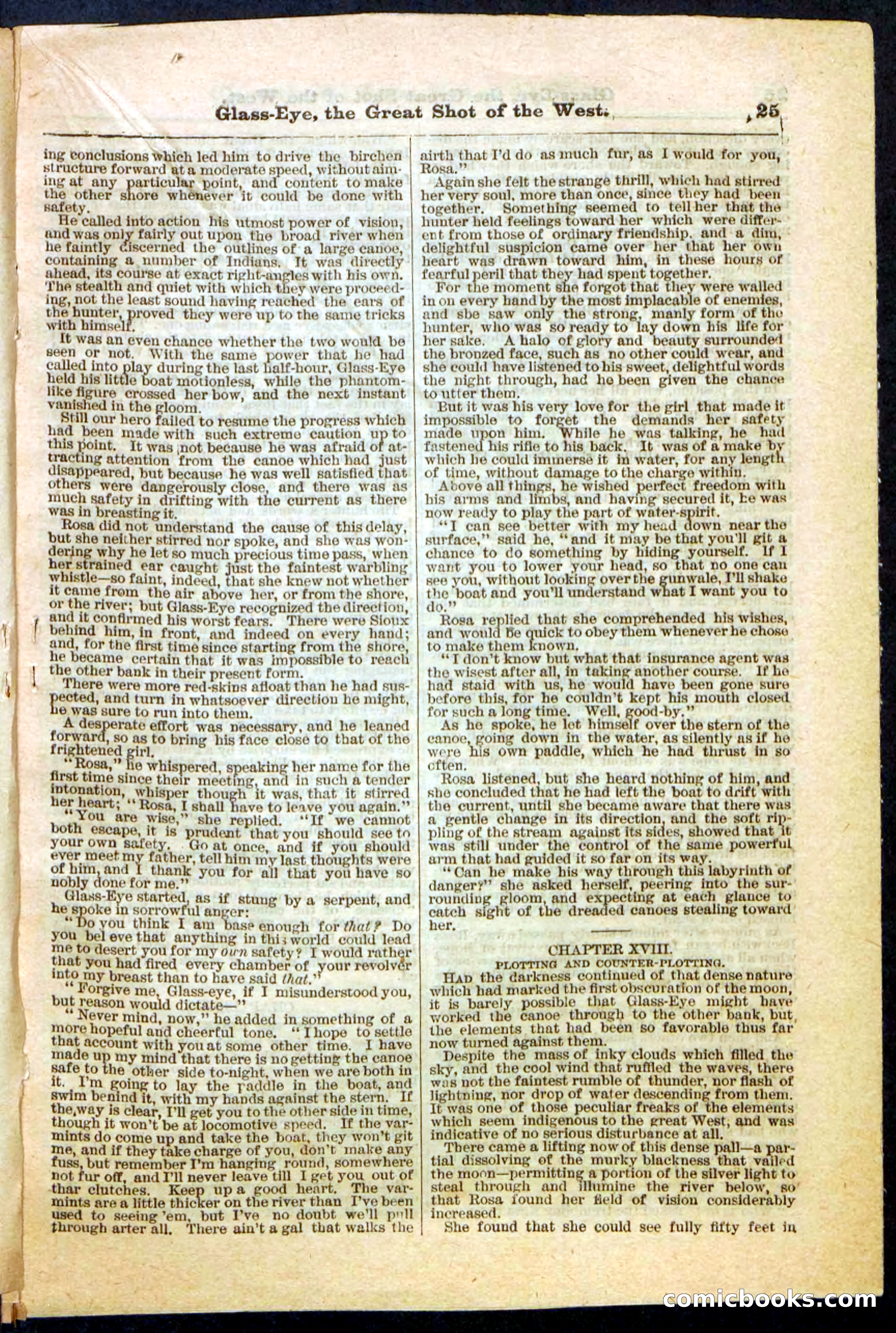 Beadle's Pocket Library No. 27 — page 25 of 32