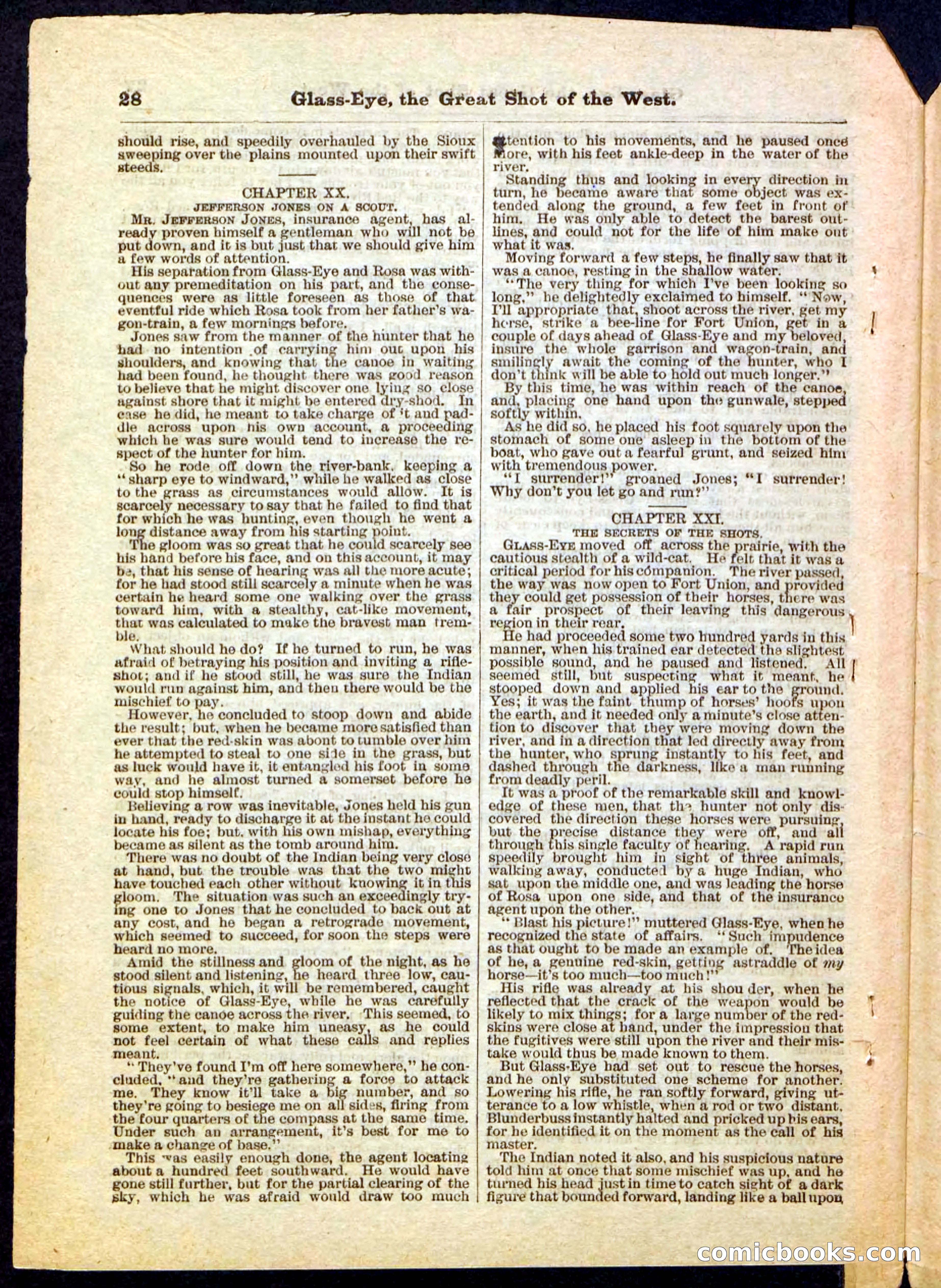 Beadle's Pocket Library No. 27 — page 28 of 32