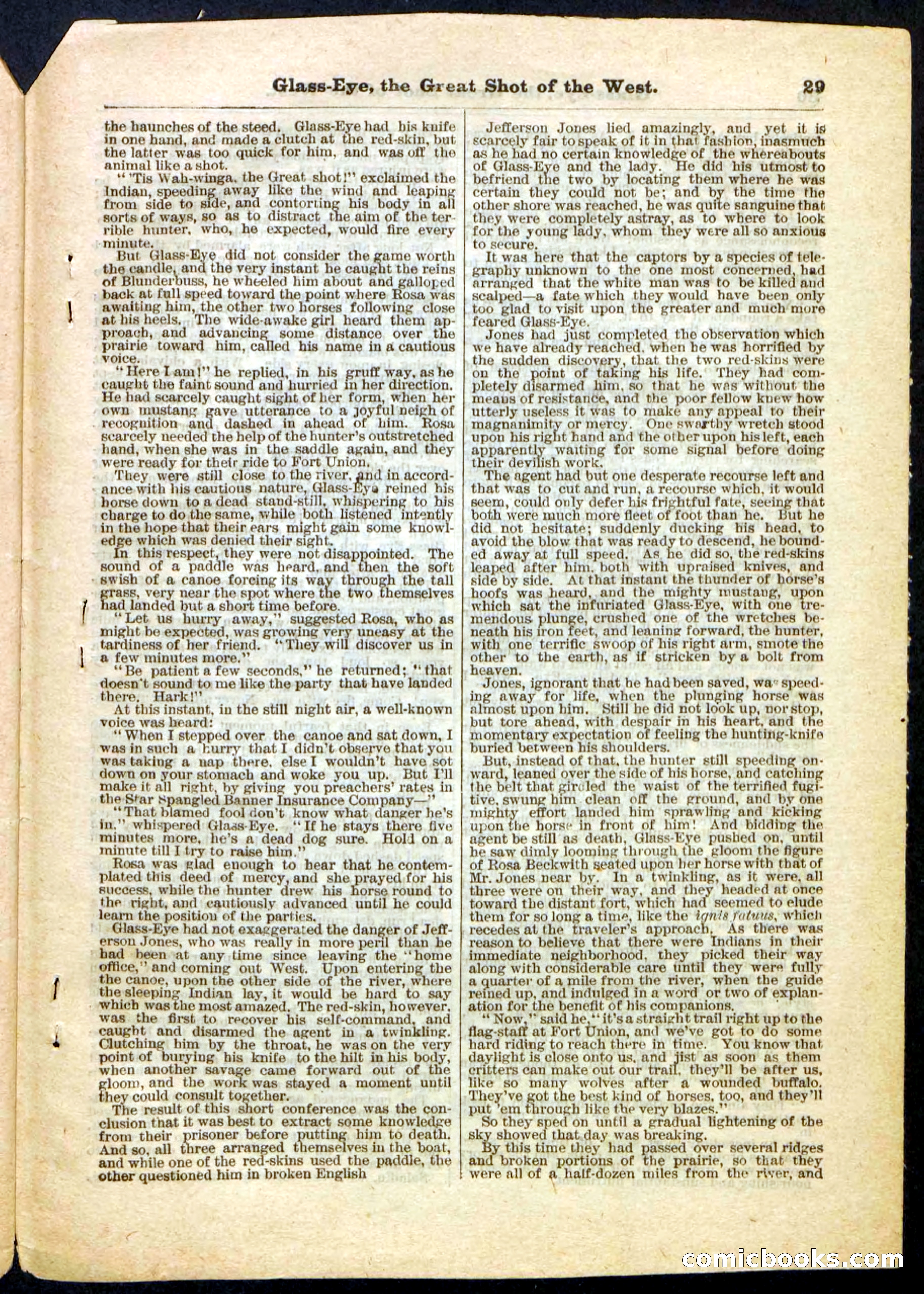 Beadle's Pocket Library No. 27 — page 29 of 32
