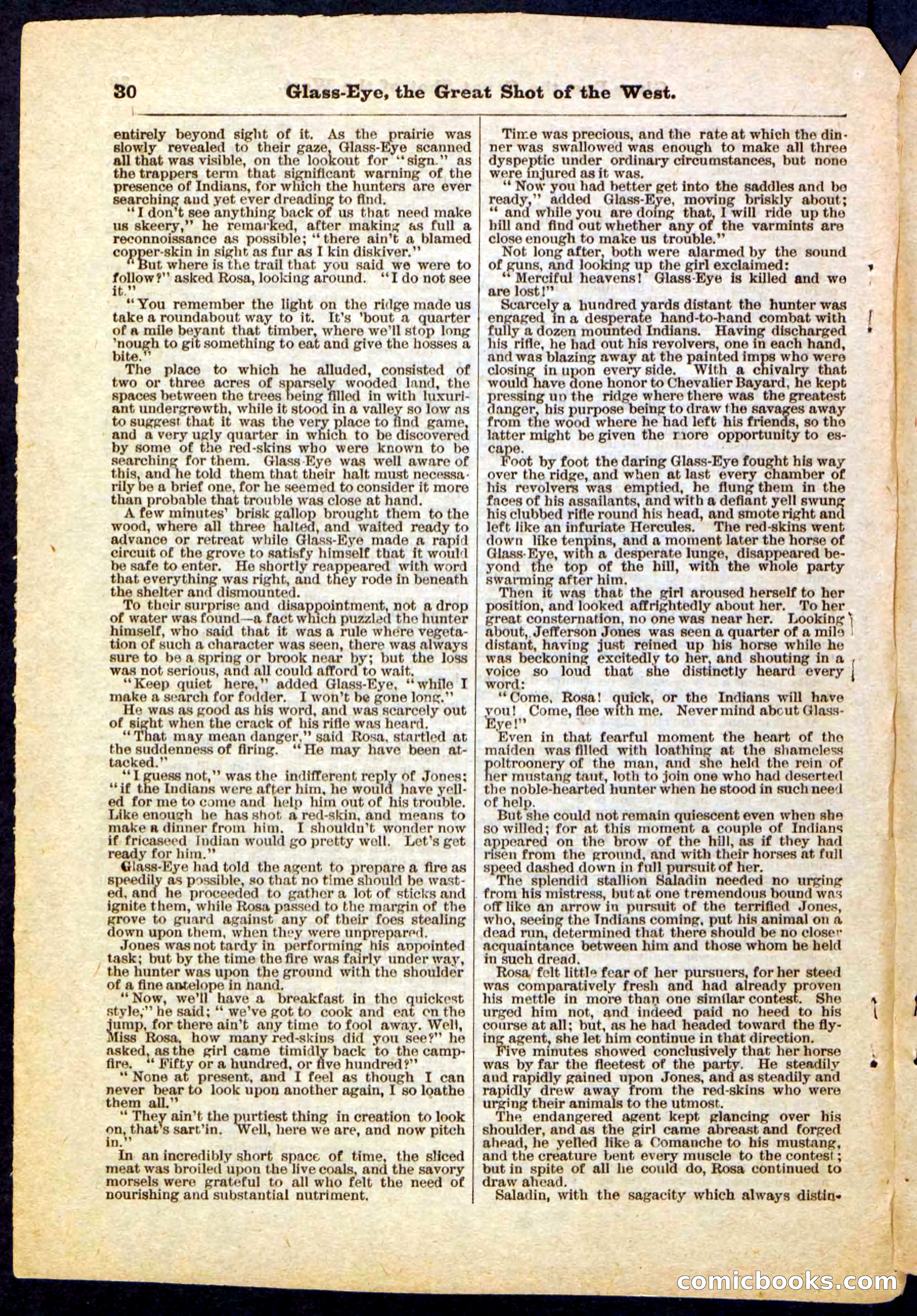 Beadle's Pocket Library No. 27 — page 30 of 32