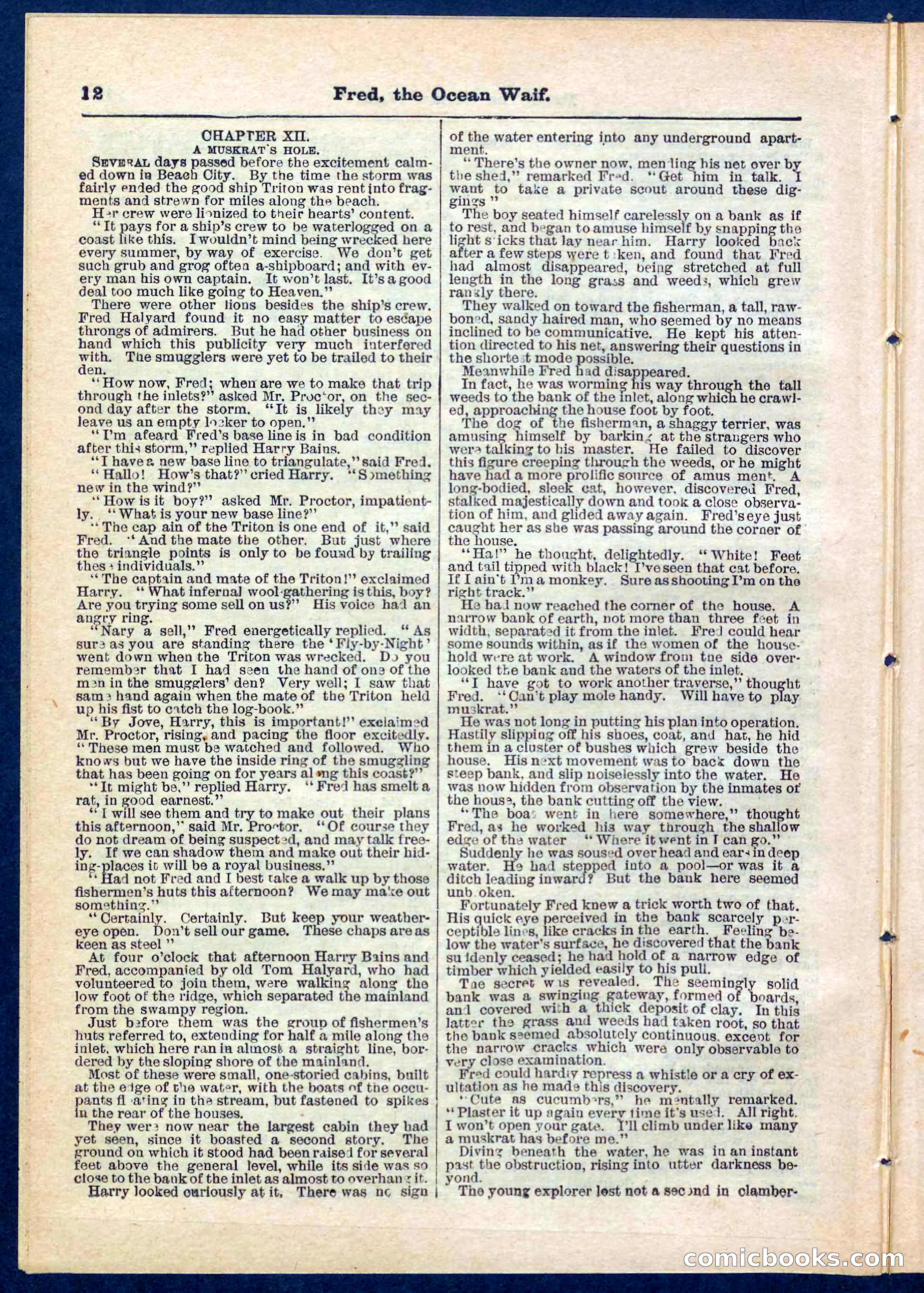Beadle's Pocket Library No. 275 — page 12 of 32