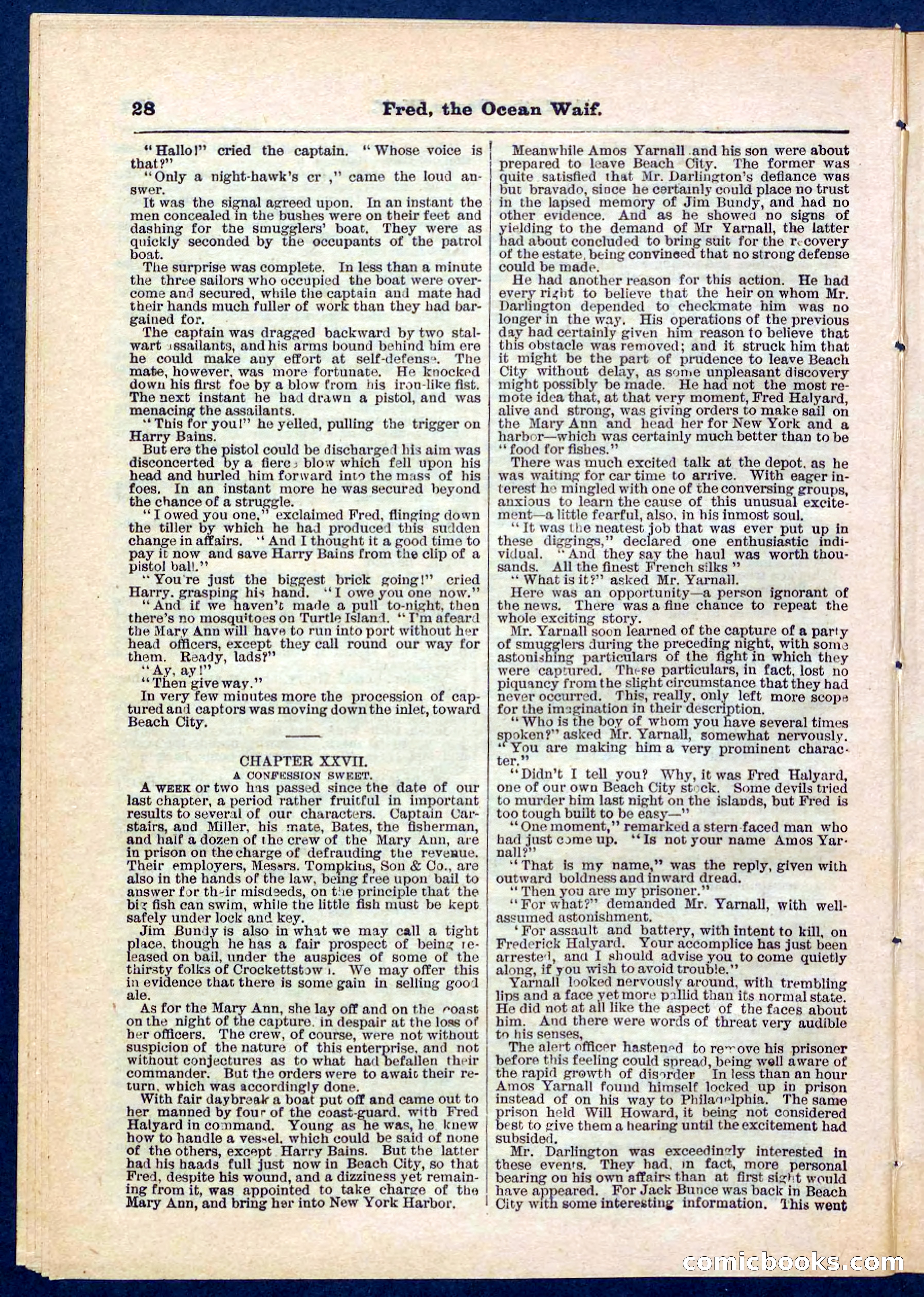 Beadle's Pocket Library No. 275 — page 28 of 32