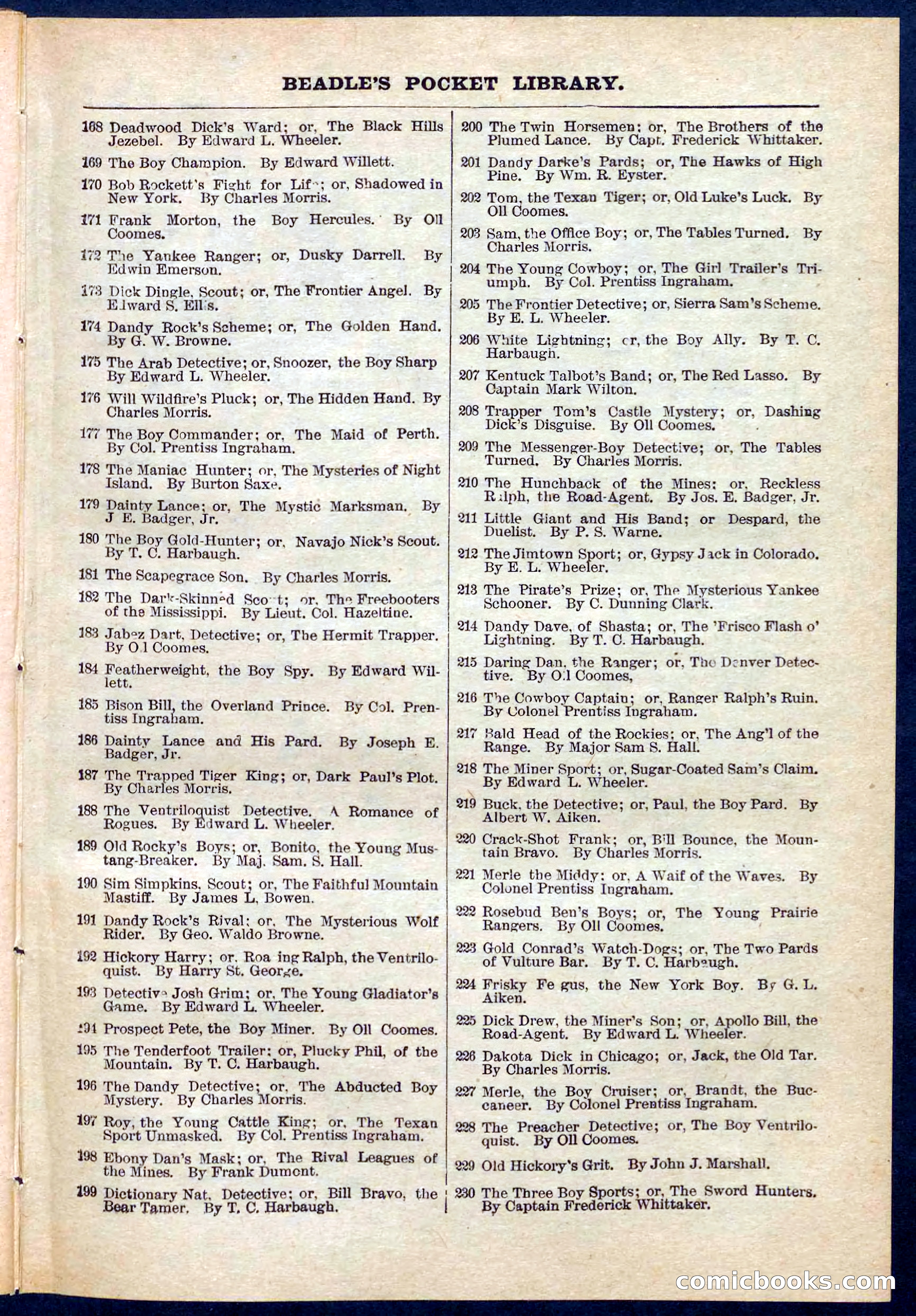 Beadle's Pocket Library No. 275 — page 31 of 32