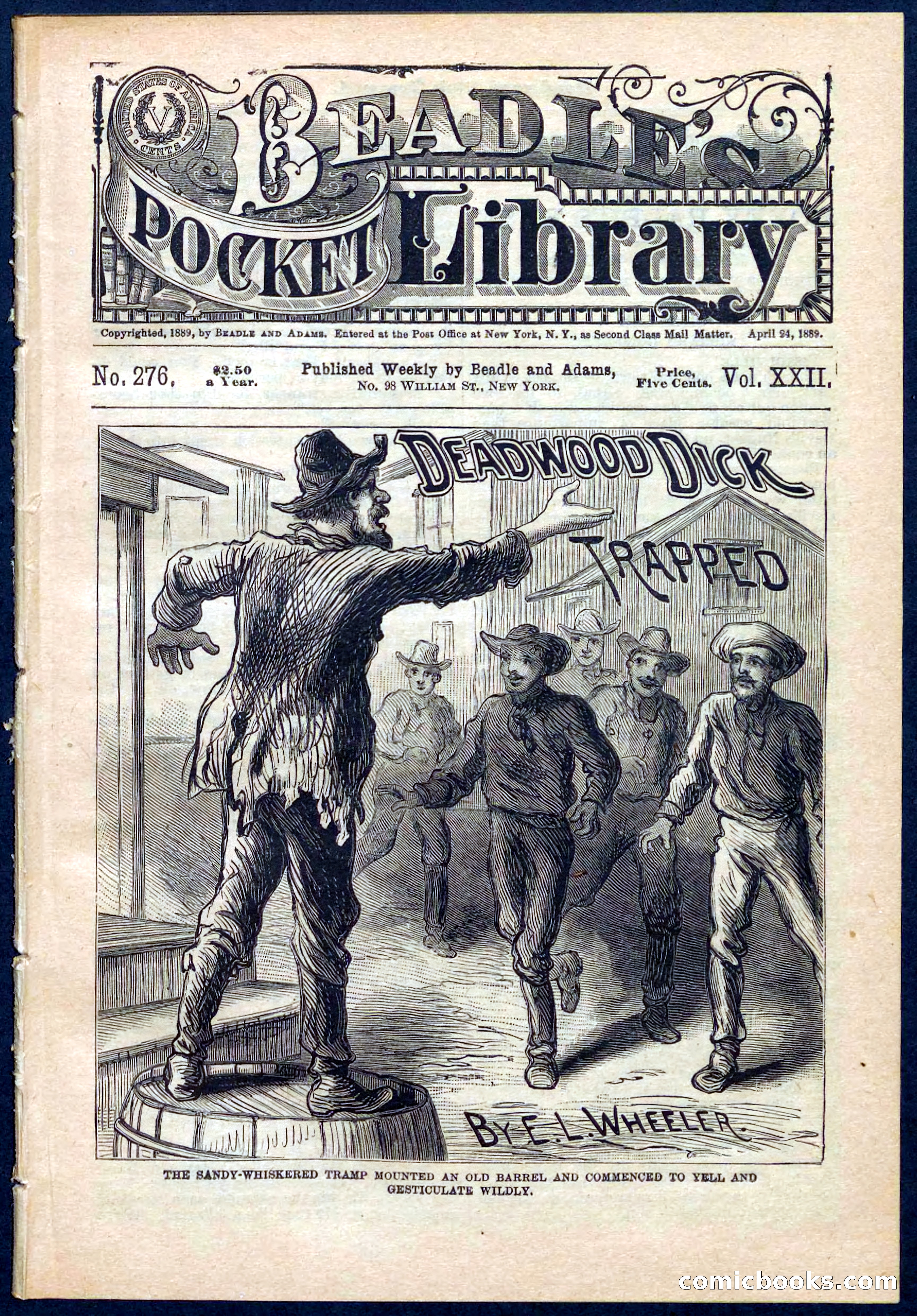 Beadle's Pocket Library No. 276 — page 1 of 32