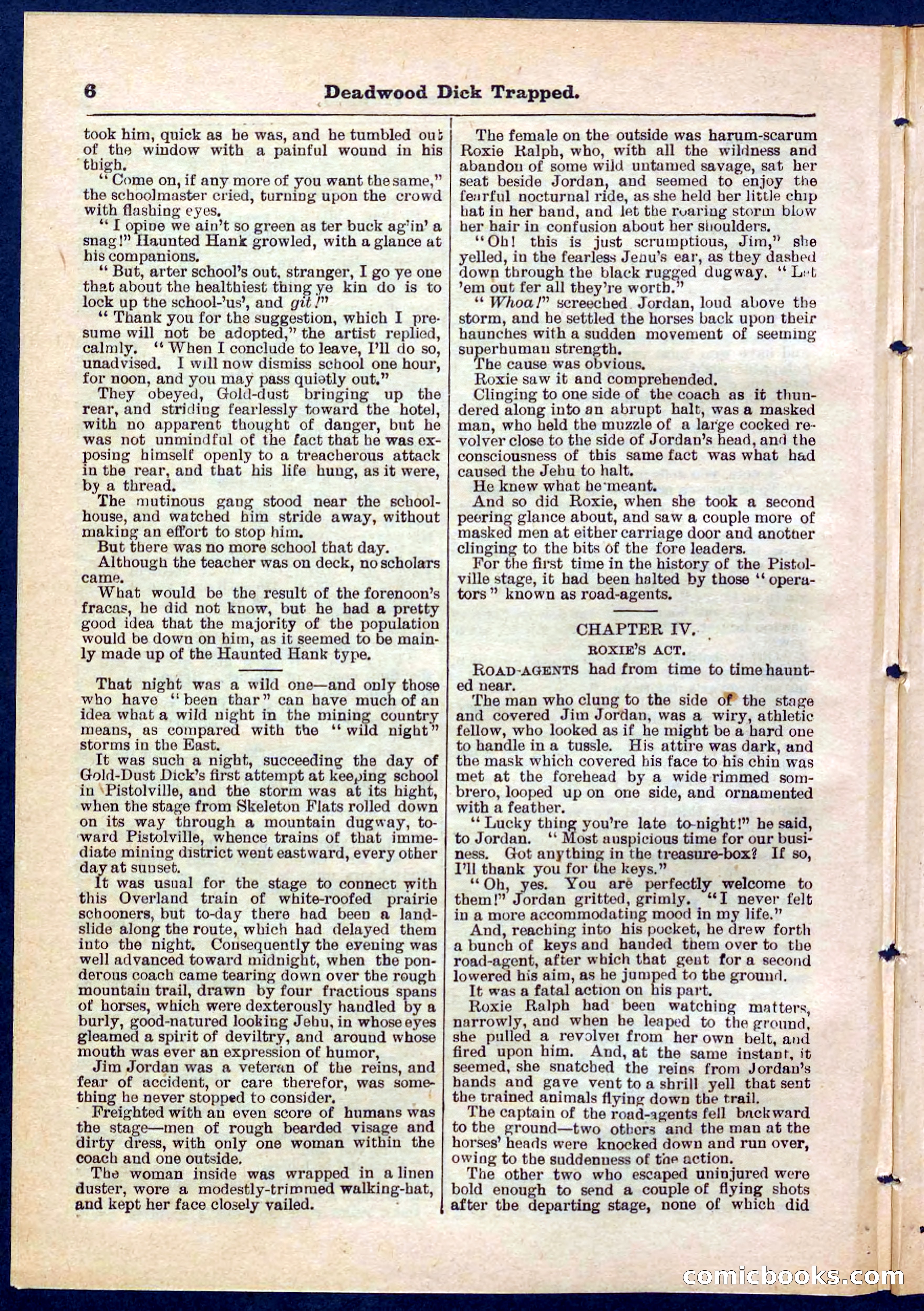 Beadle's Pocket Library No. 276 — page 6 of 32