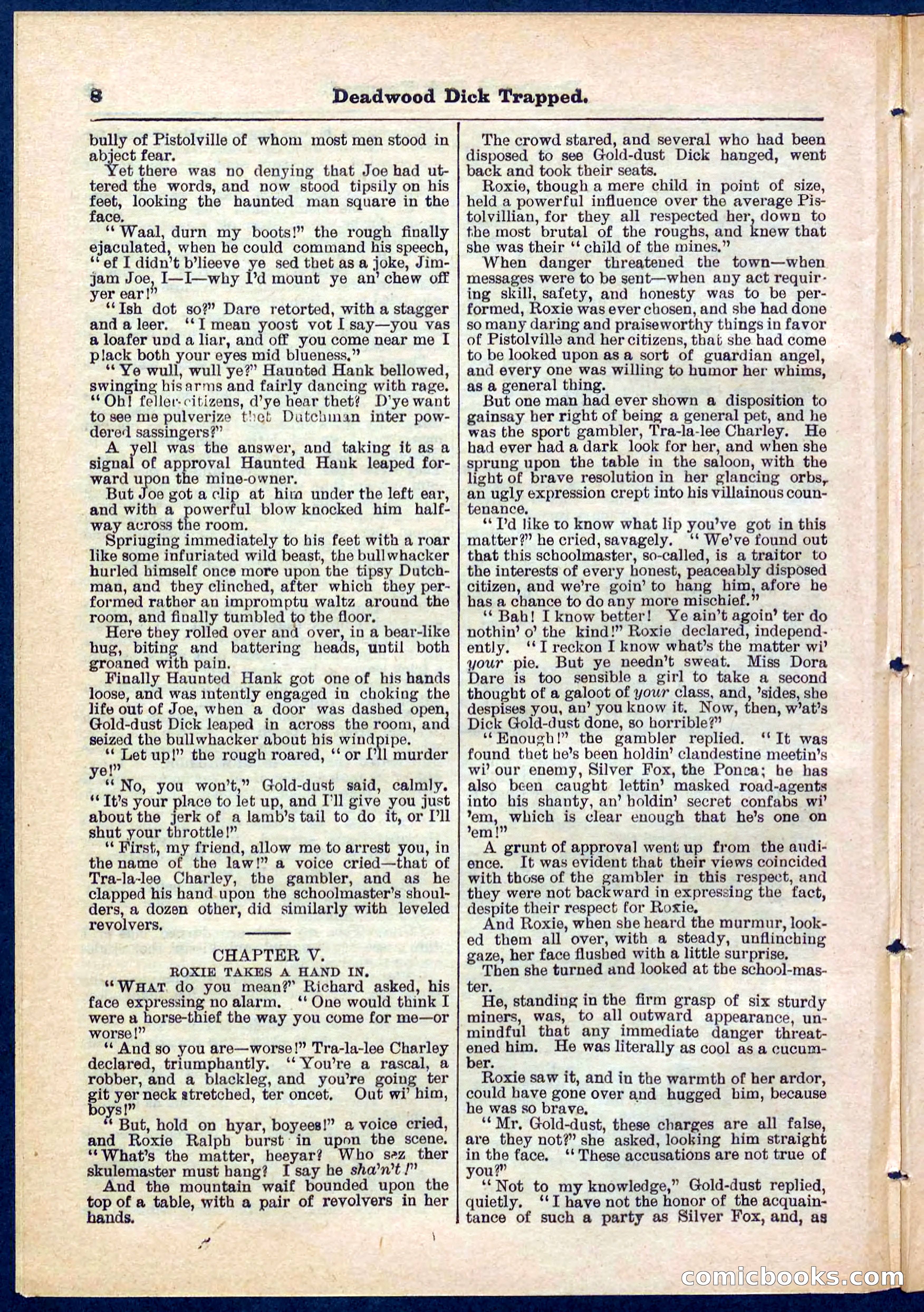 Beadle's Pocket Library No. 276 — page 8 of 32