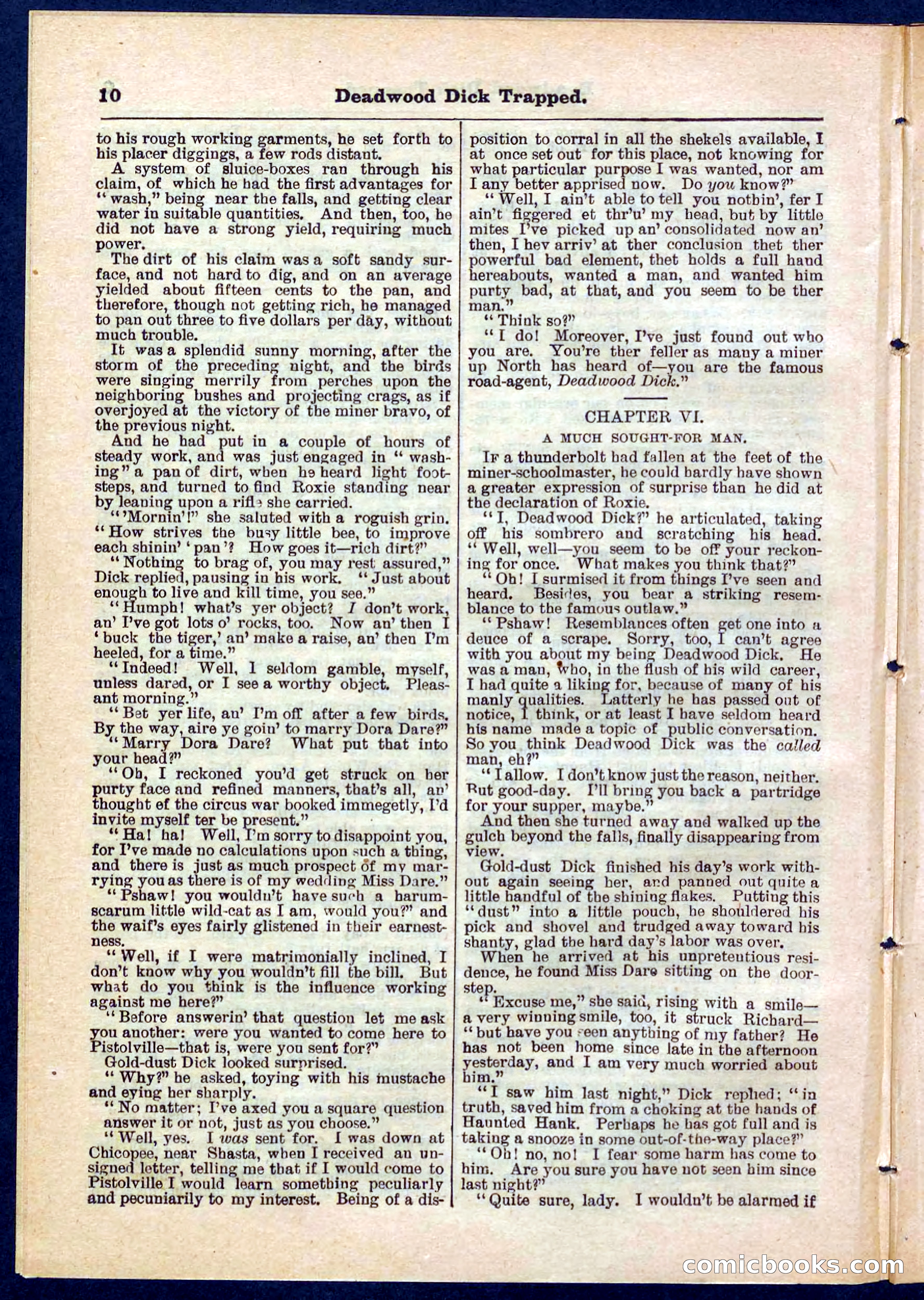 Beadle's Pocket Library No. 276 — page 10 of 32