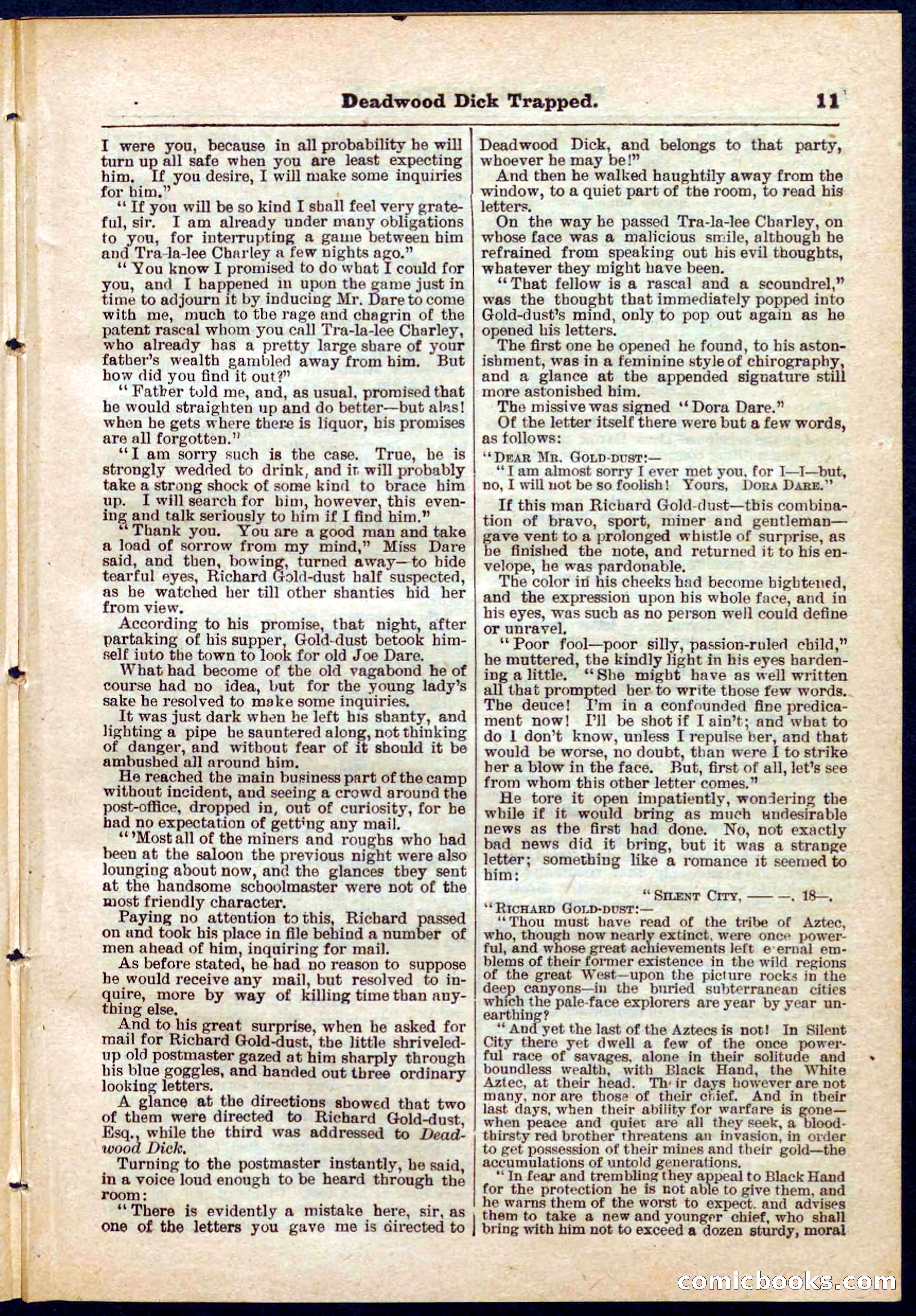 Beadle's Pocket Library No. 276 — page 11 of 32