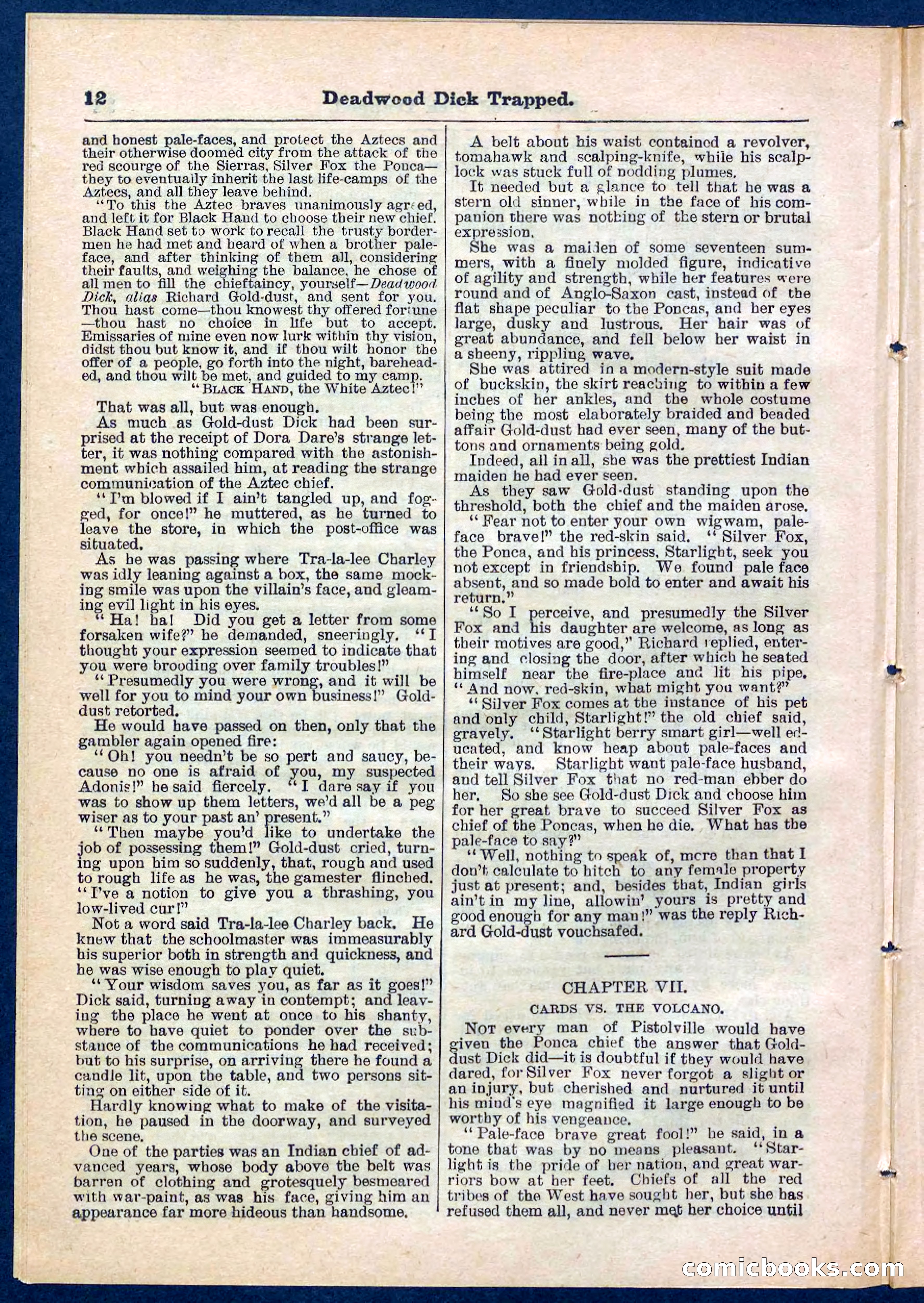 Beadle's Pocket Library No. 276 — page 12 of 32