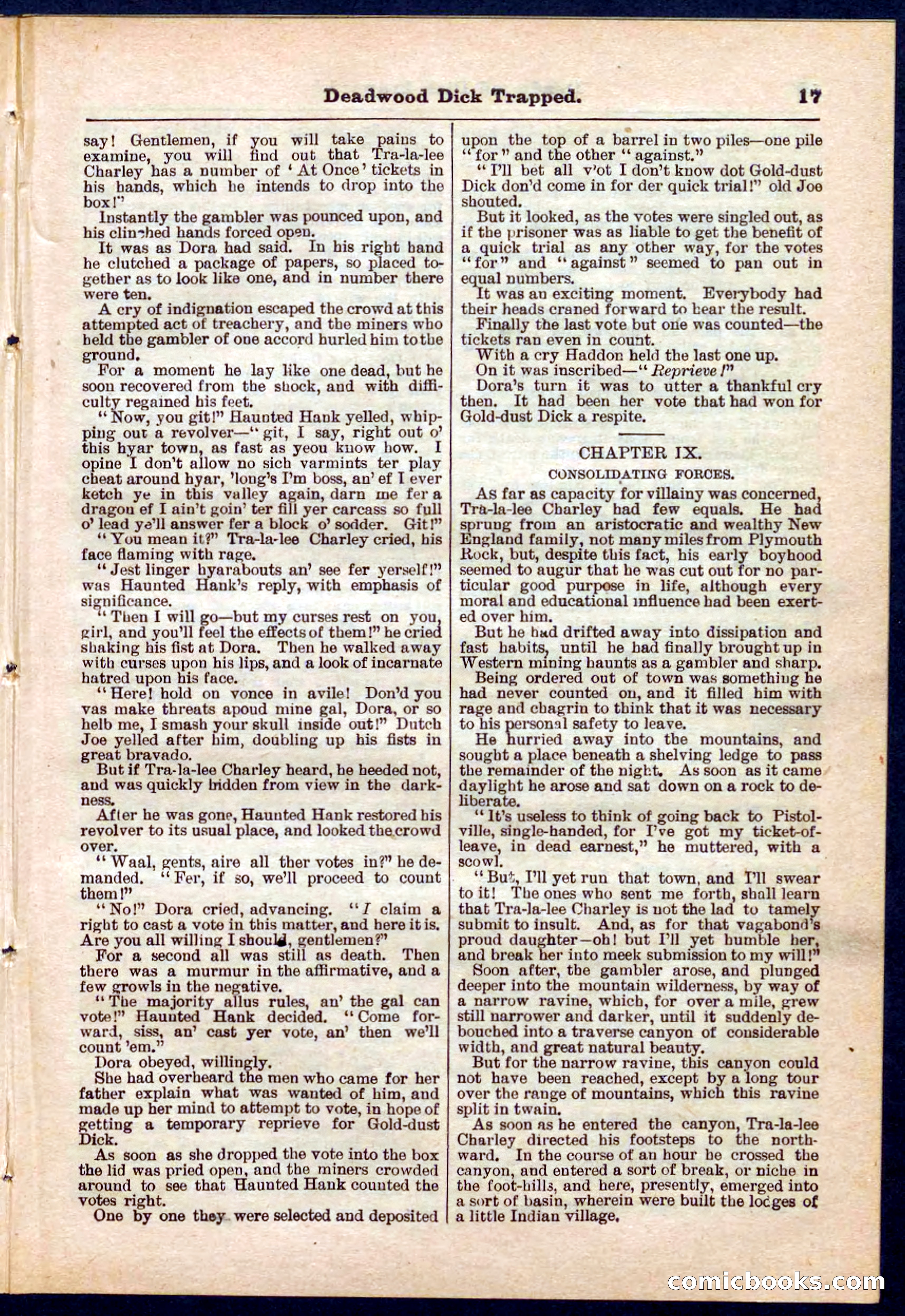 Beadle's Pocket Library No. 276 — page 17 of 32