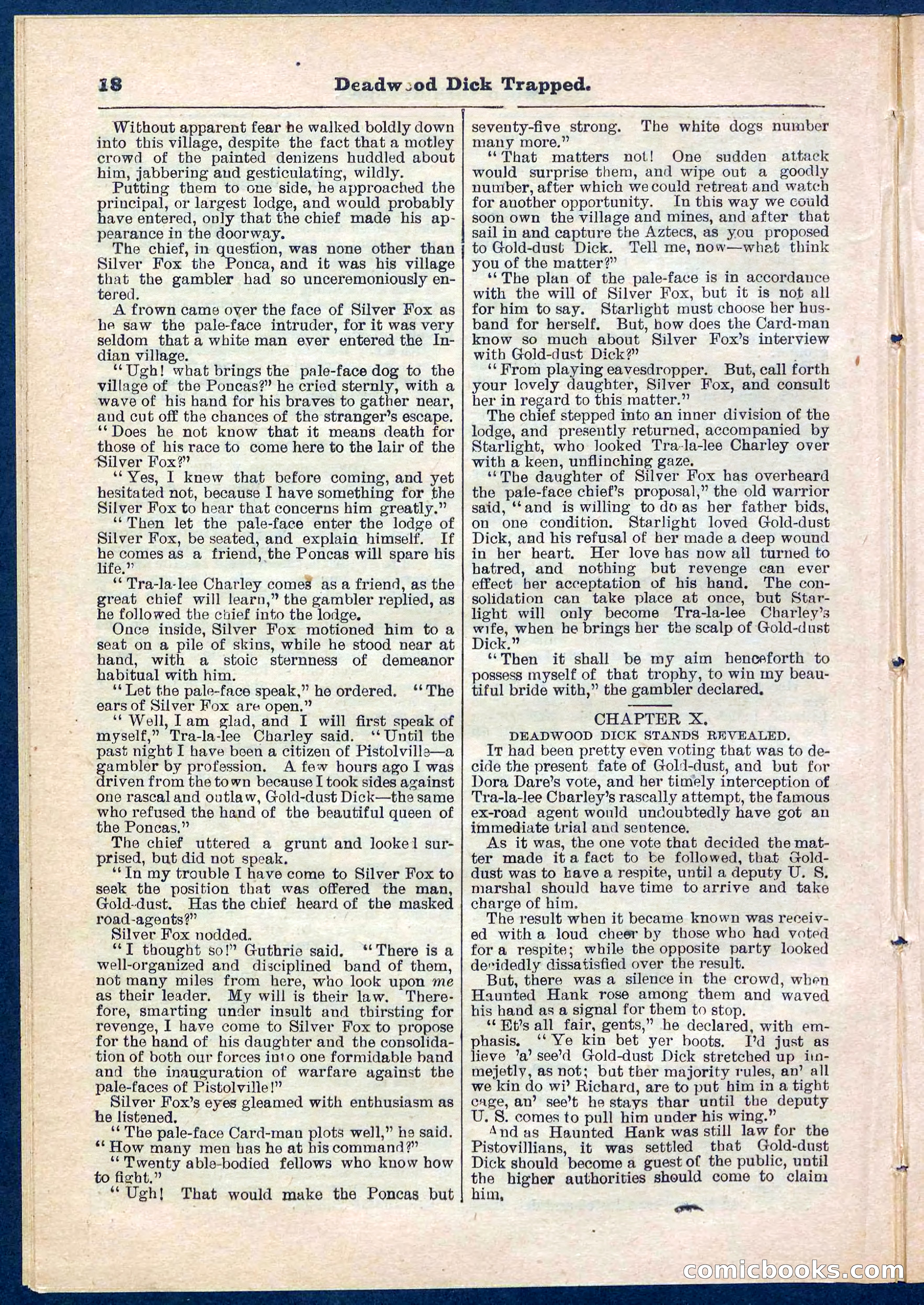 Beadle's Pocket Library No. 276 — page 18 of 32