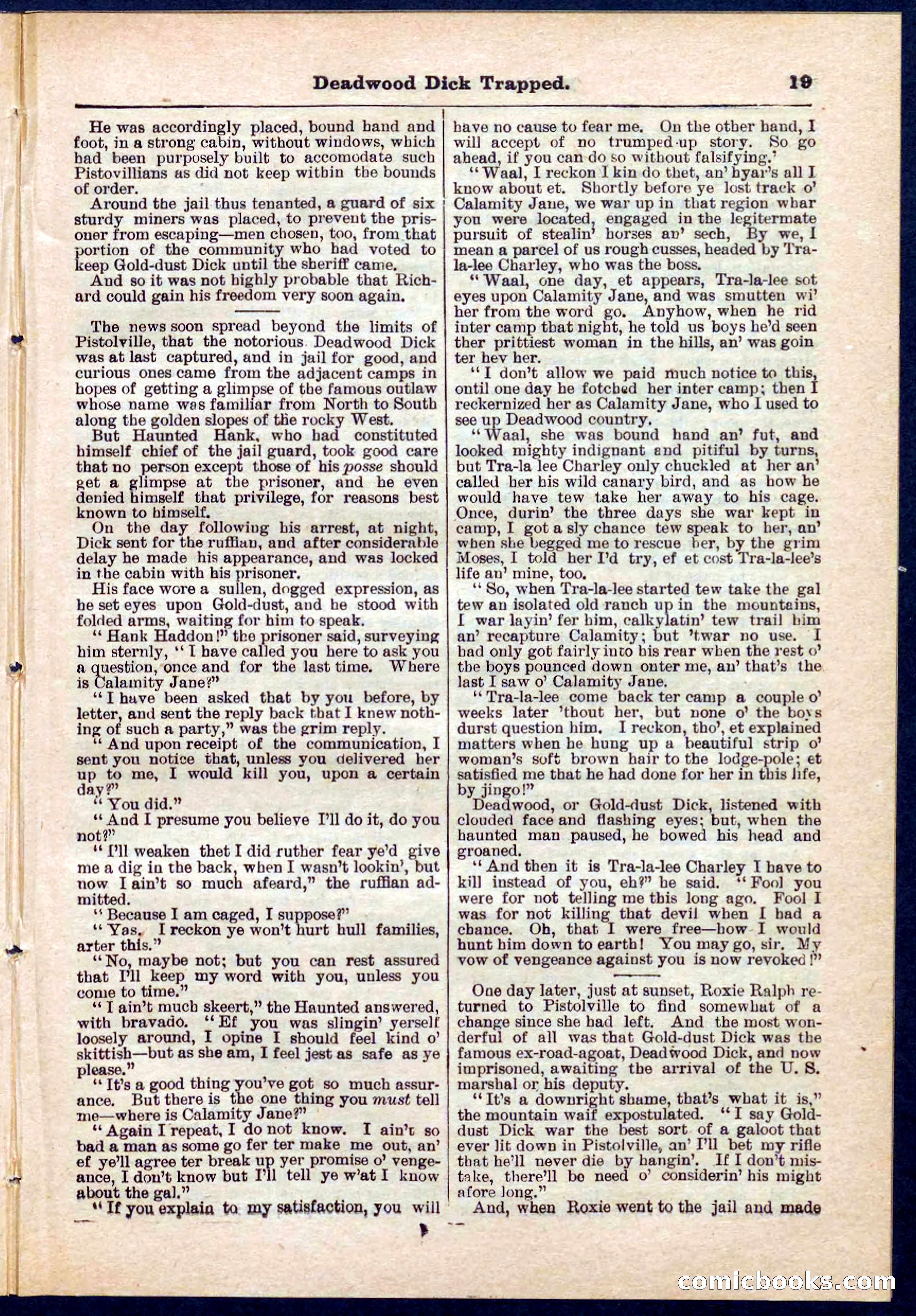 Beadle's Pocket Library No. 276 — page 19 of 32