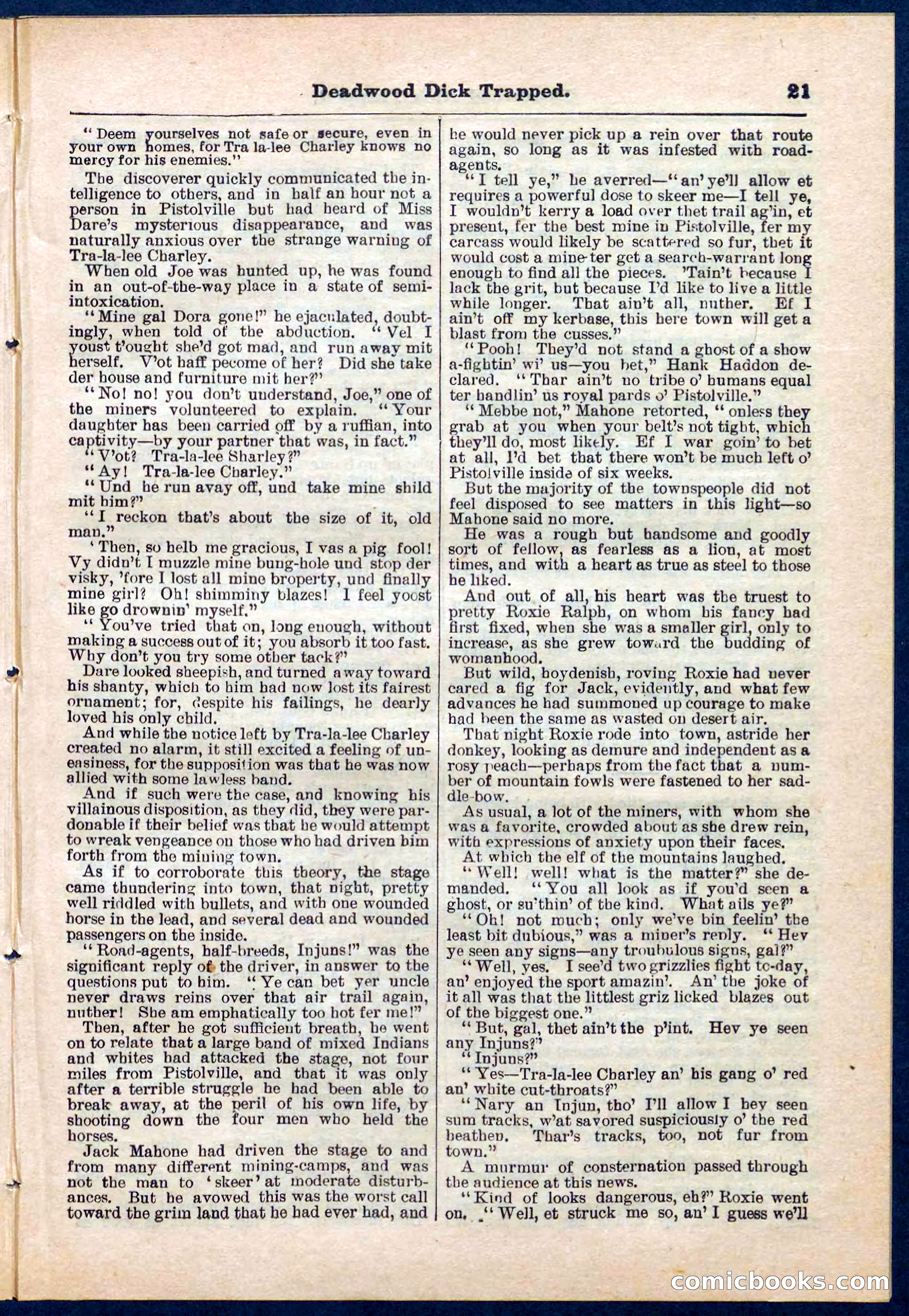 Beadle's Pocket Library No. 276 — page 21 of 32