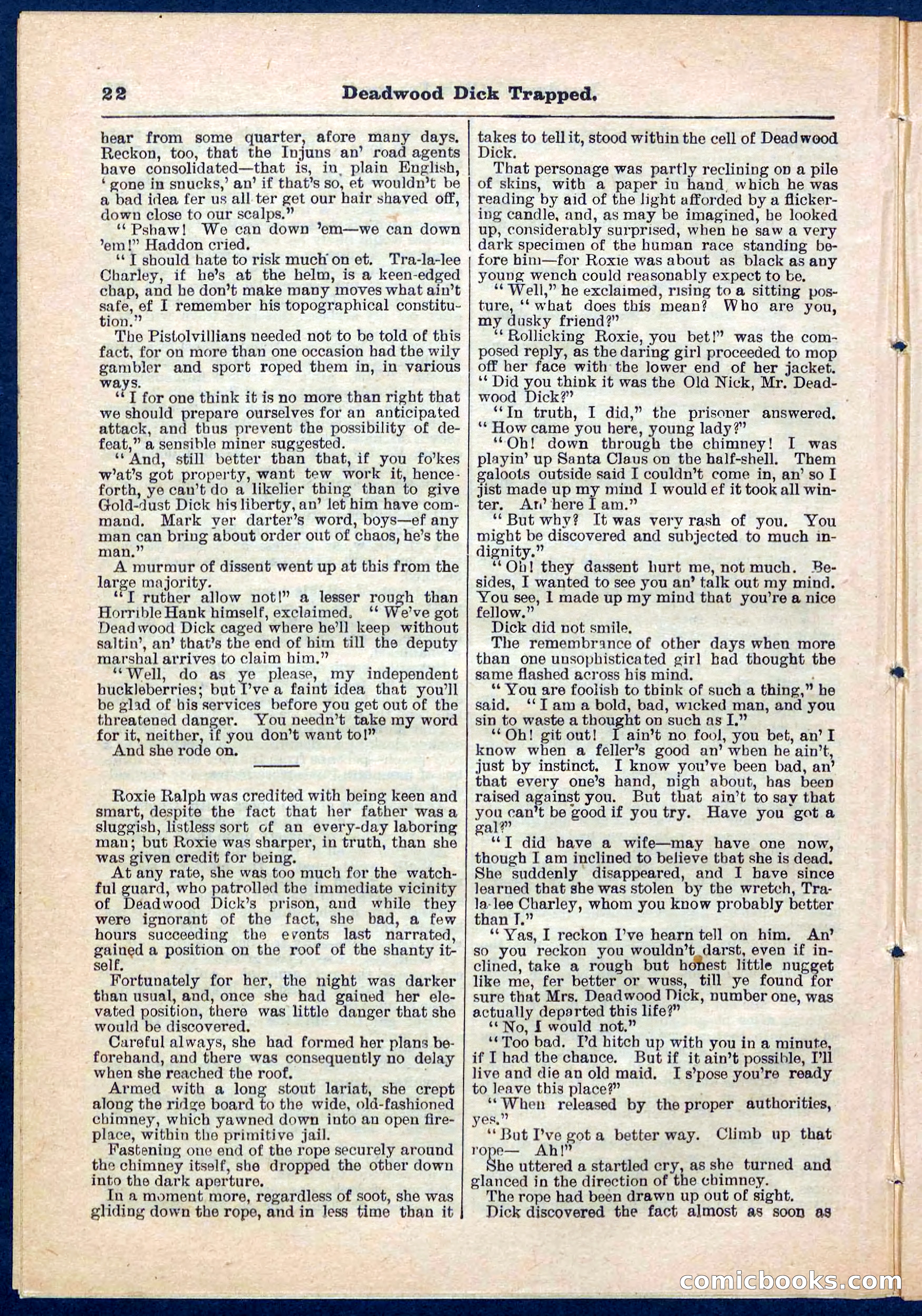 Beadle's Pocket Library No. 276 — page 22 of 32