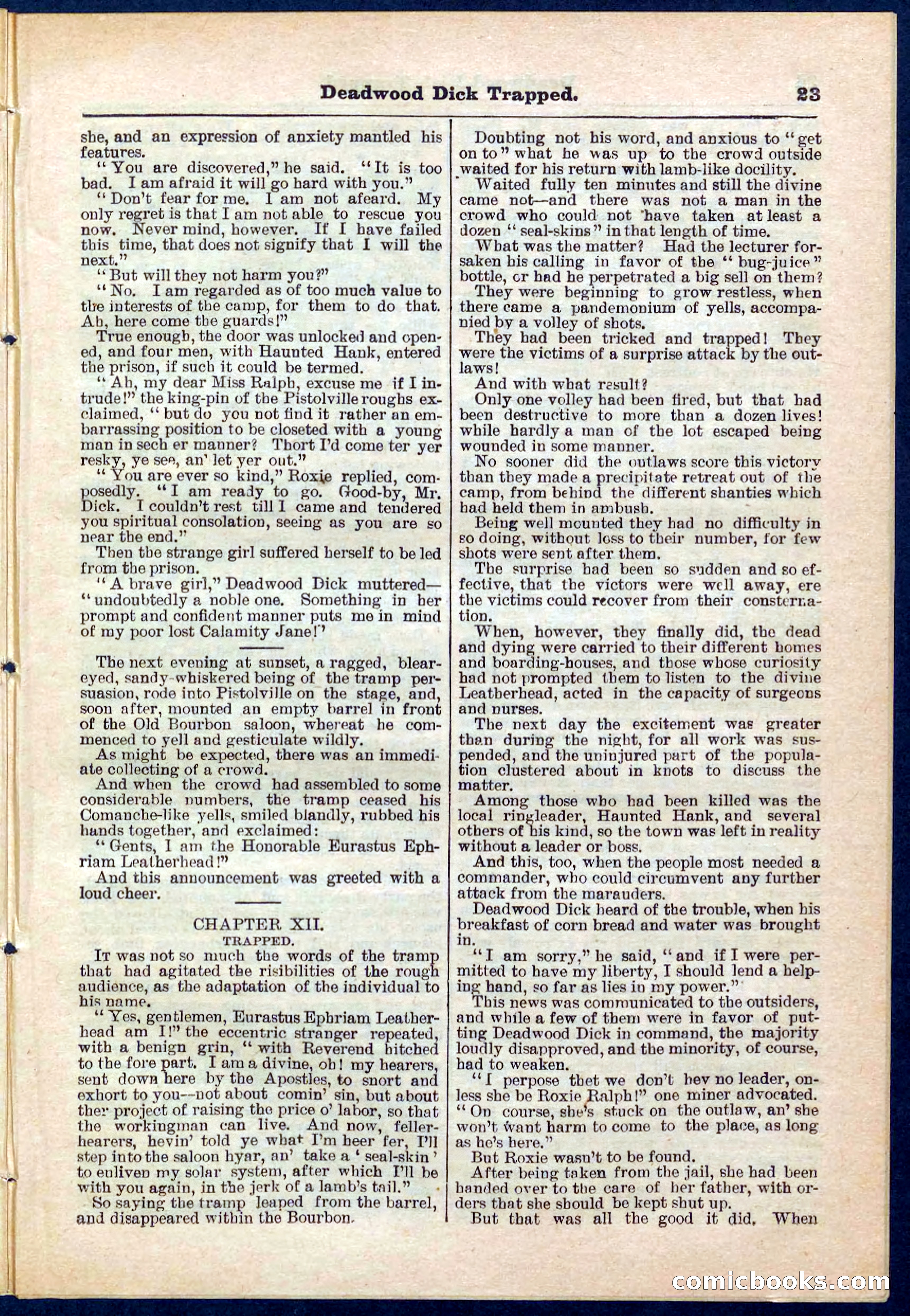 Beadle's Pocket Library No. 276 — page 23 of 32