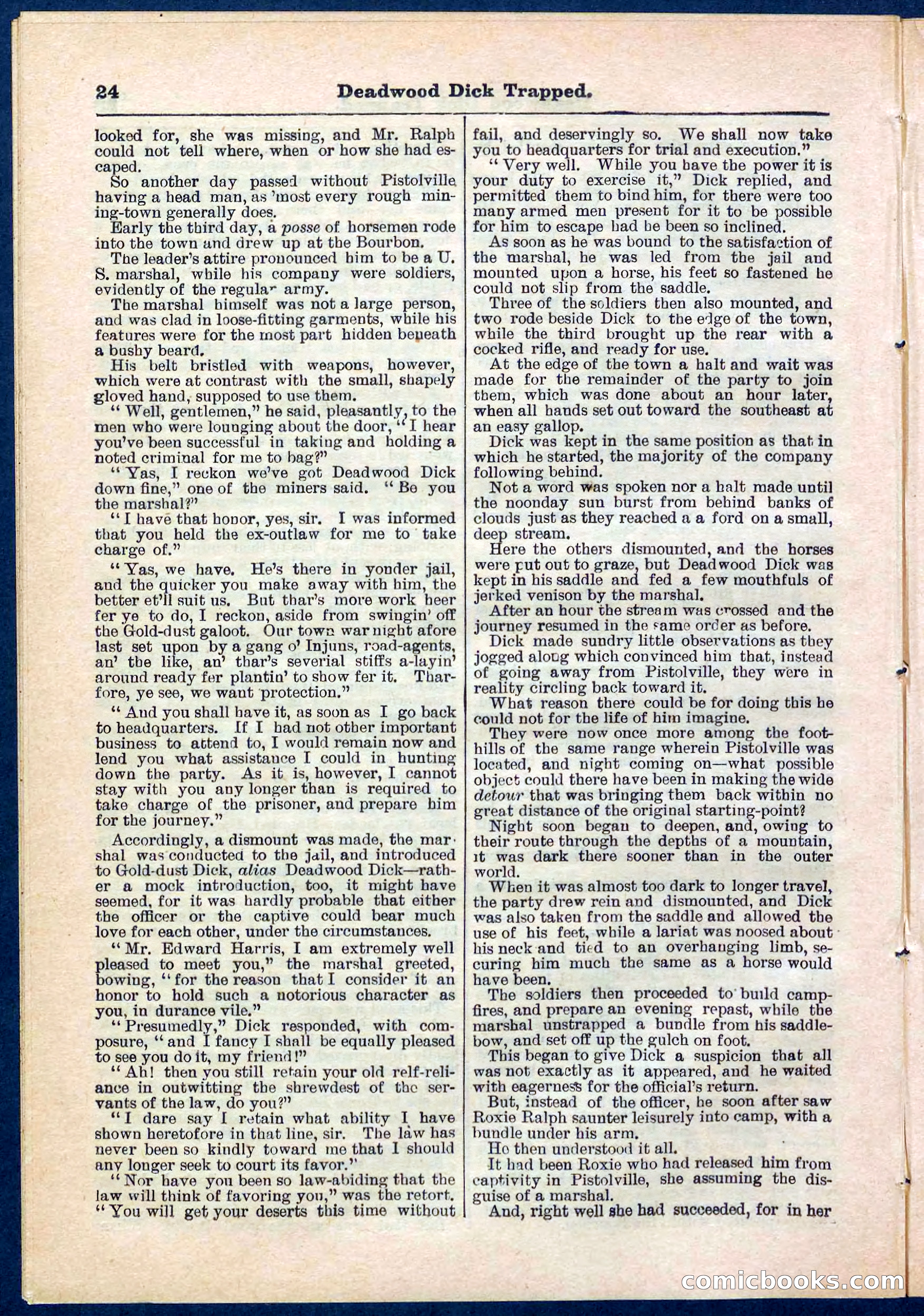 Beadle's Pocket Library No. 276 — page 24 of 32