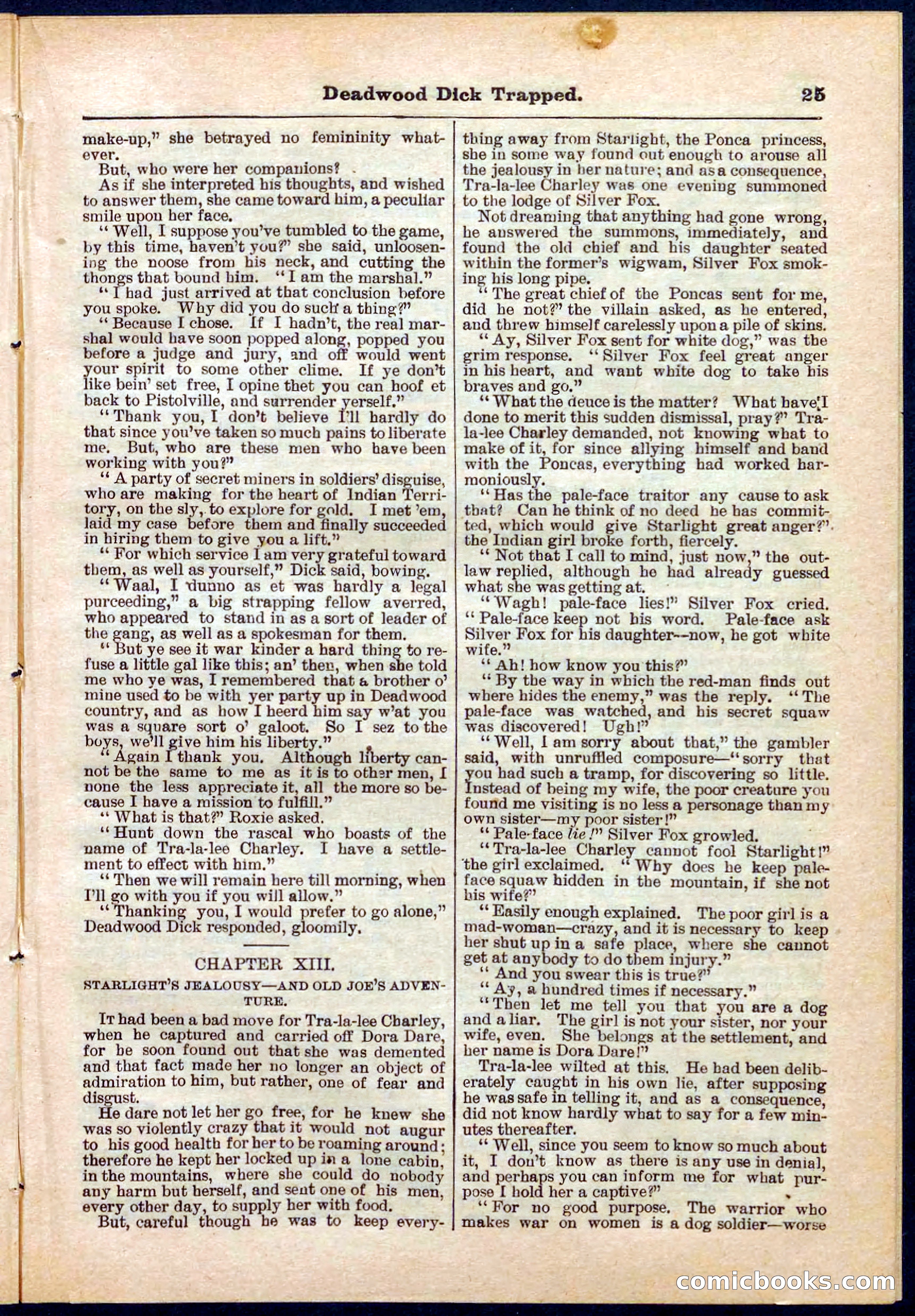 Beadle's Pocket Library No. 276 — page 25 of 32