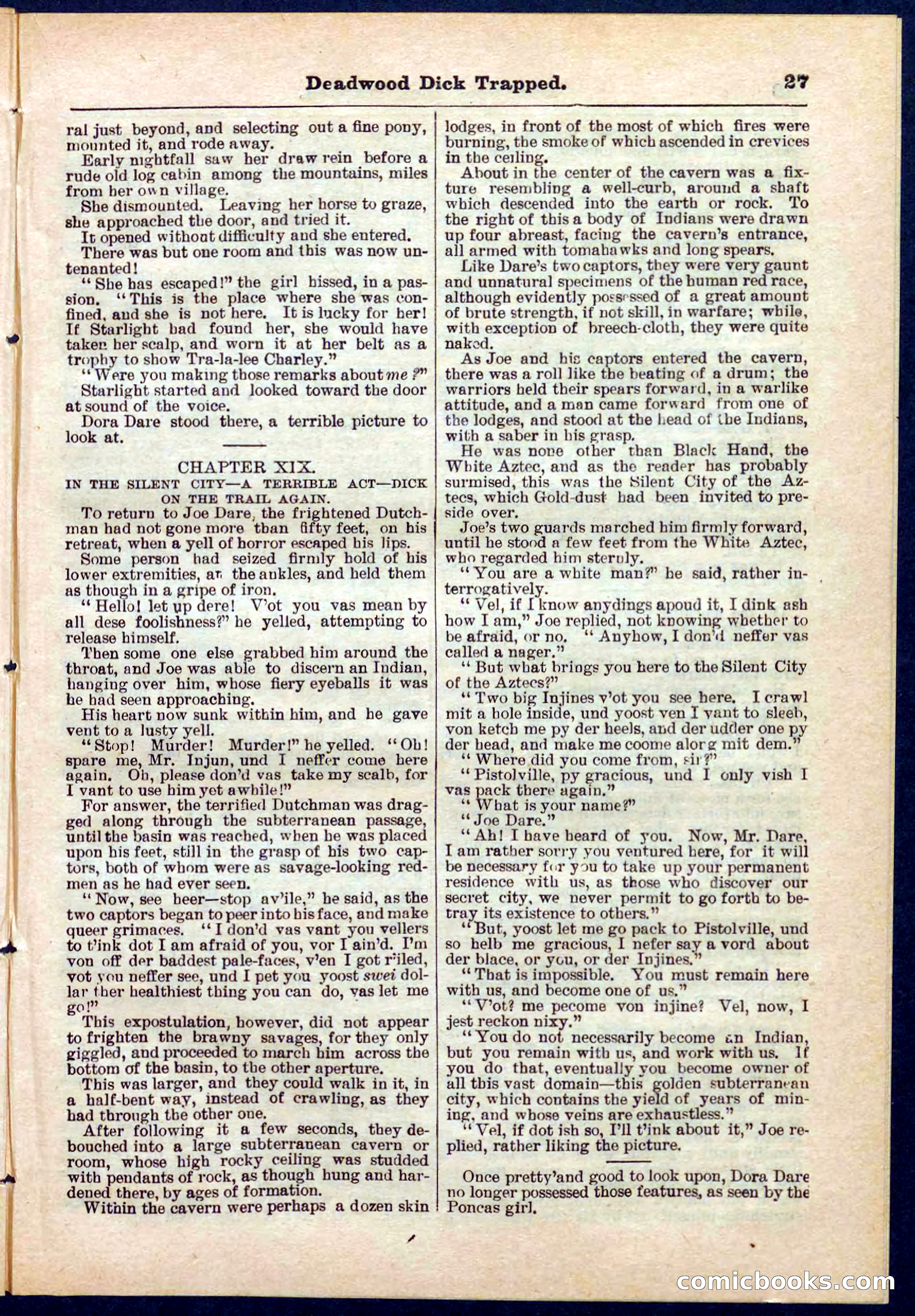 Beadle's Pocket Library No. 276 — page 27 of 32