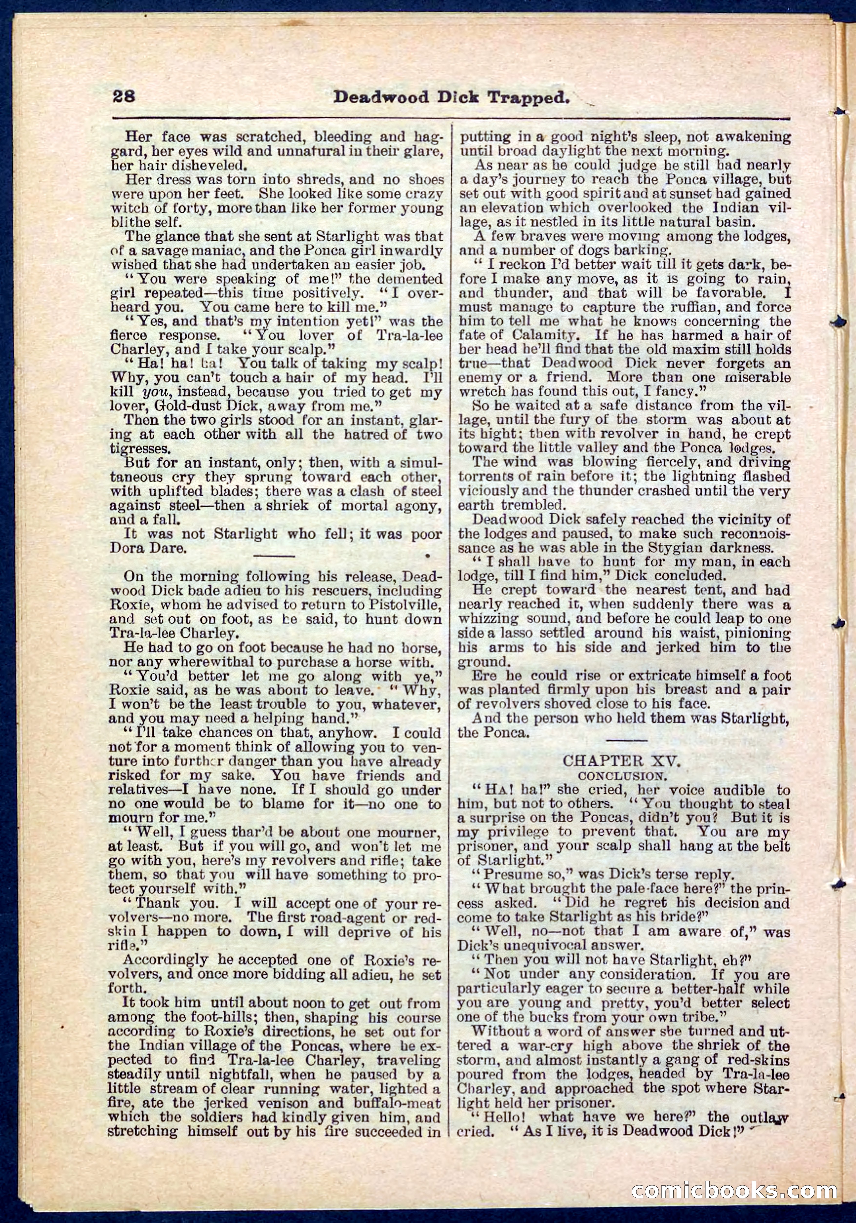Beadle's Pocket Library No. 276 — page 28 of 32