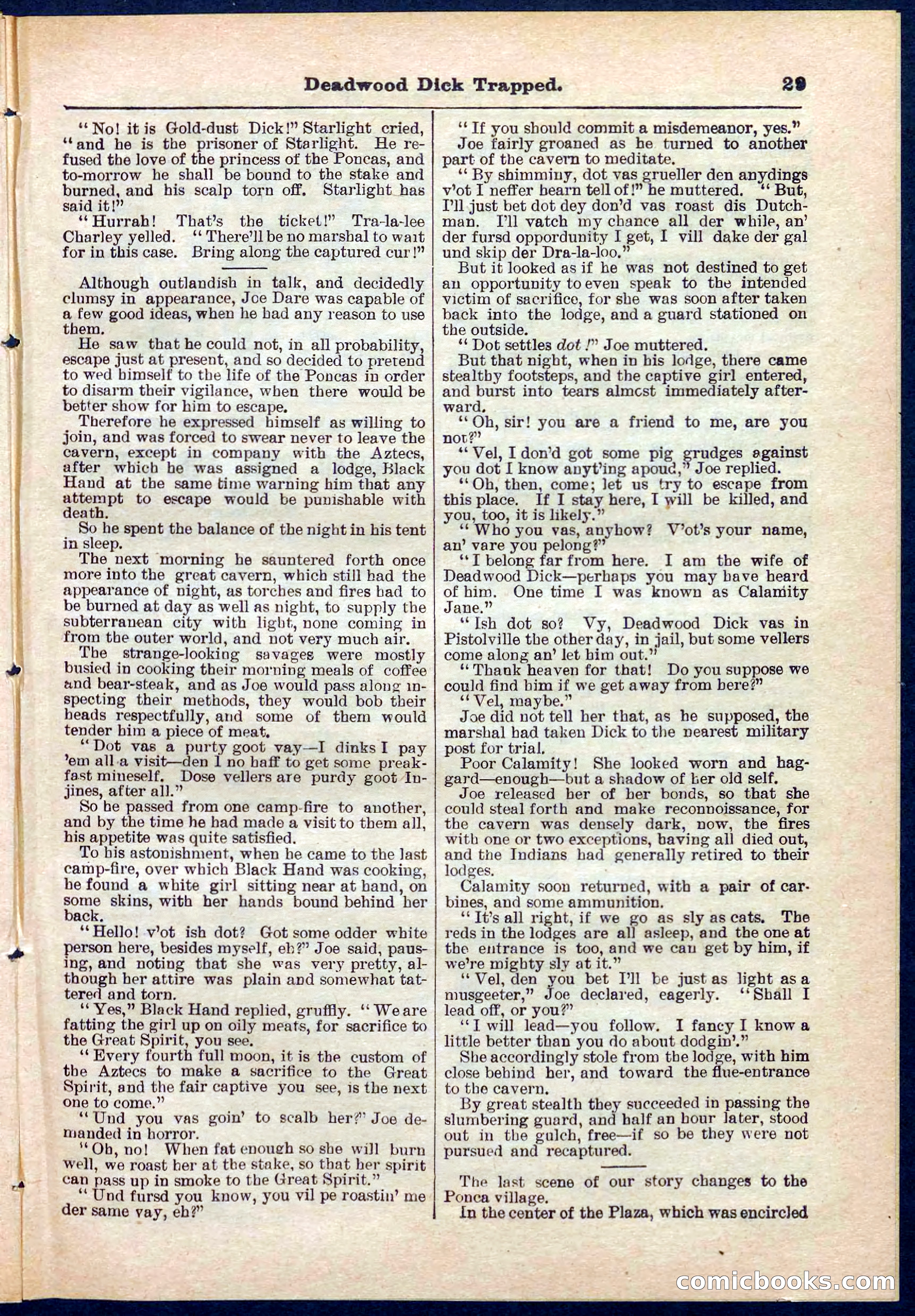Beadle's Pocket Library No. 276 — page 29 of 32