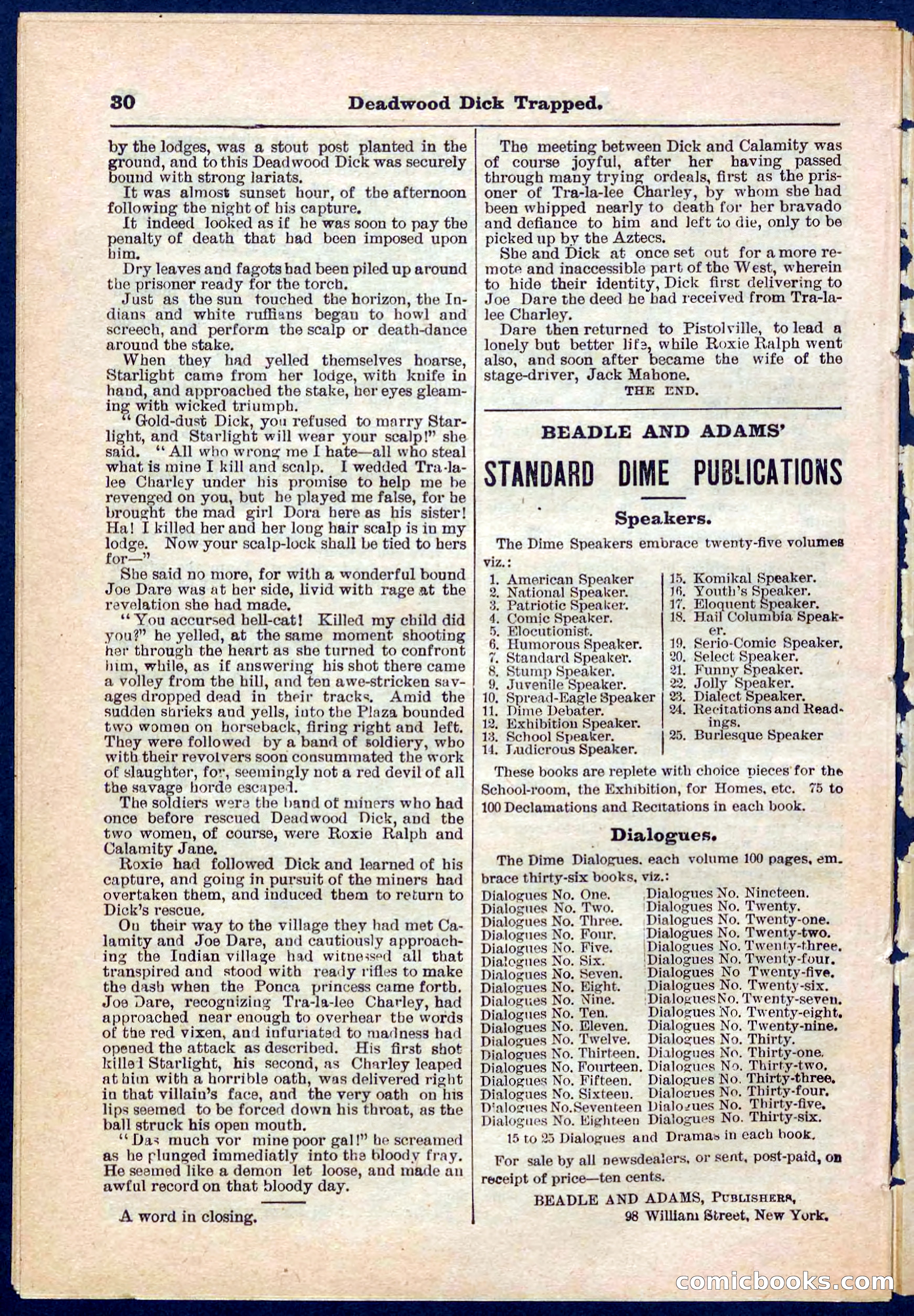 Beadle's Pocket Library No. 276 — page 30 of 32