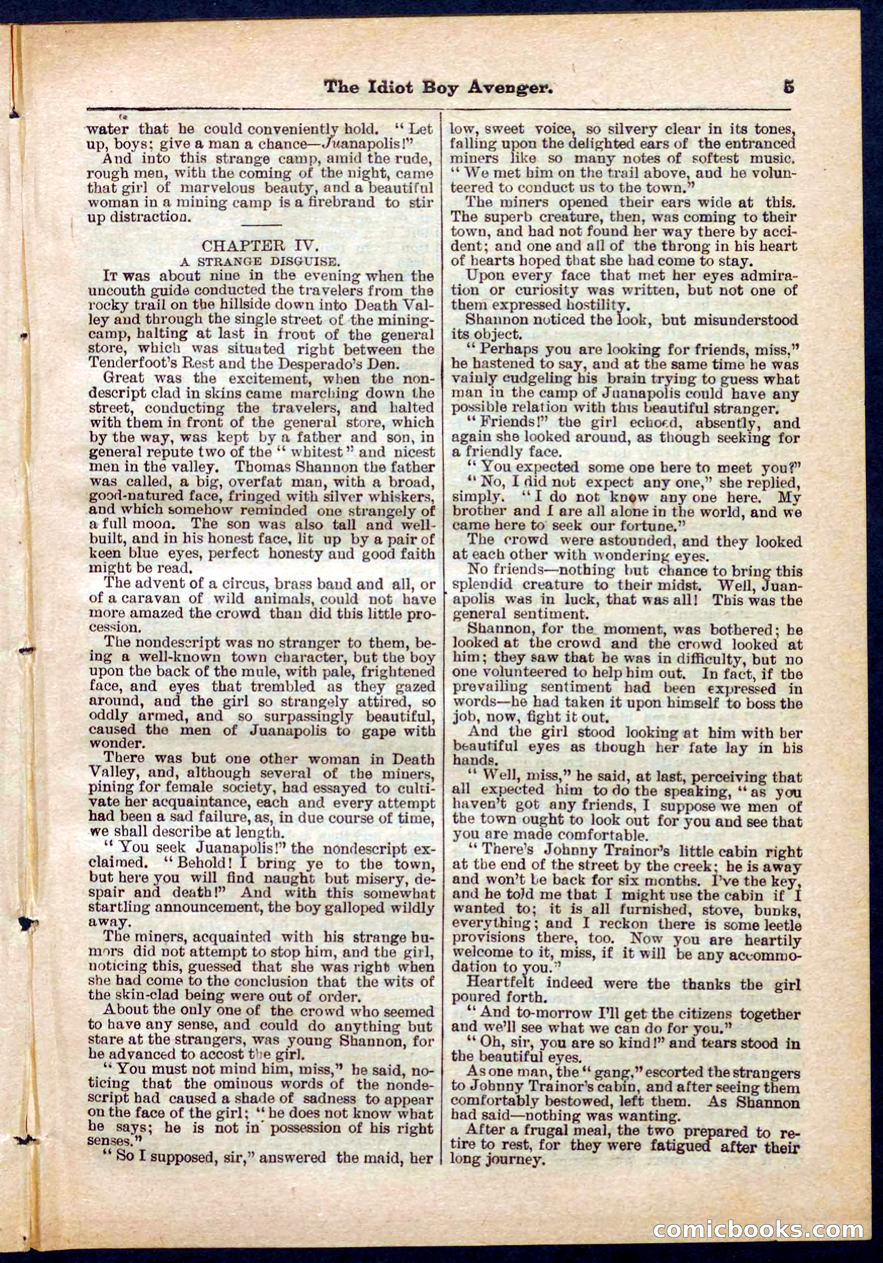 Beadle's Pocket Library No. 277 — page 5 of 32