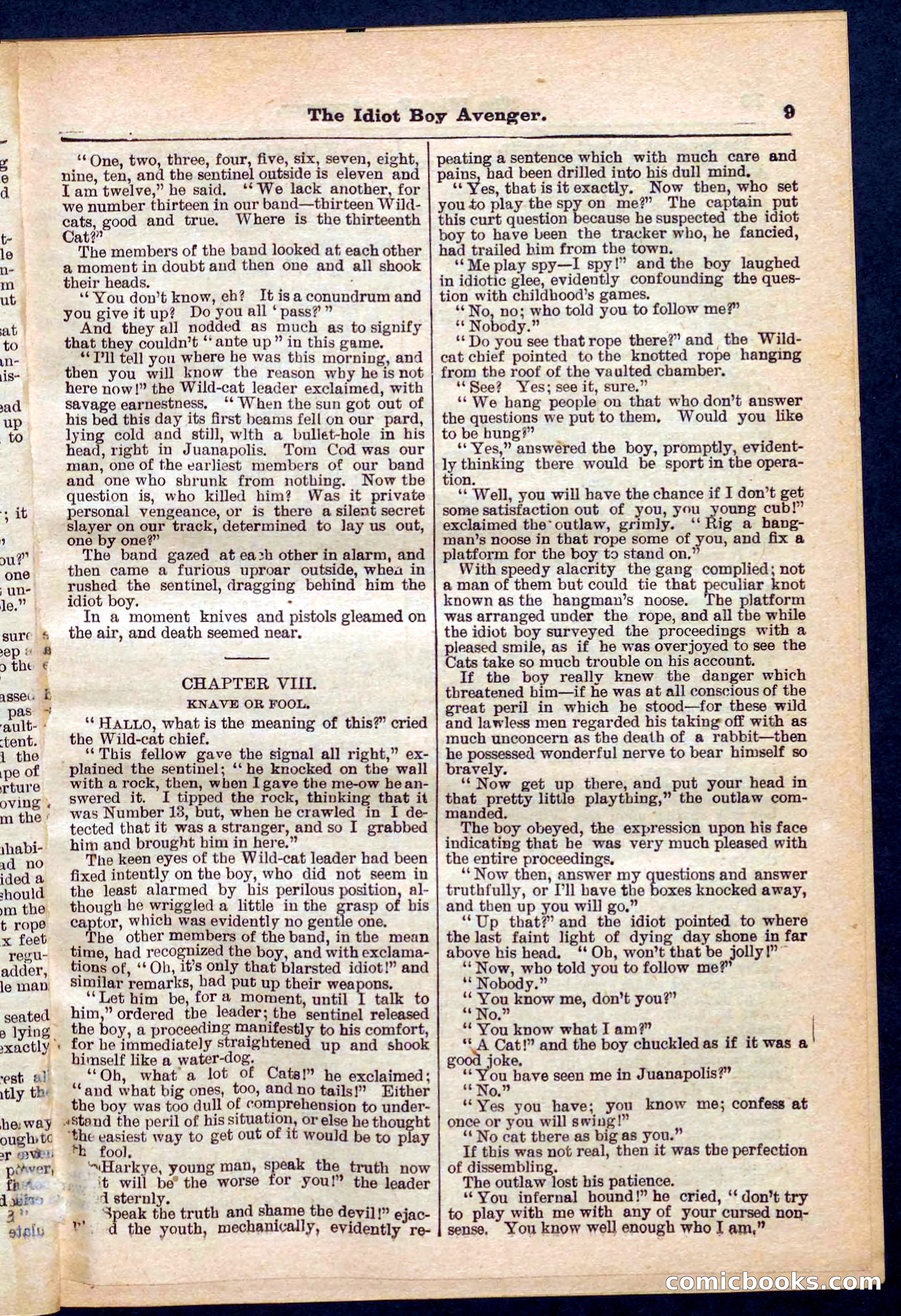 Beadle's Pocket Library No. 277 — page 9 of 32