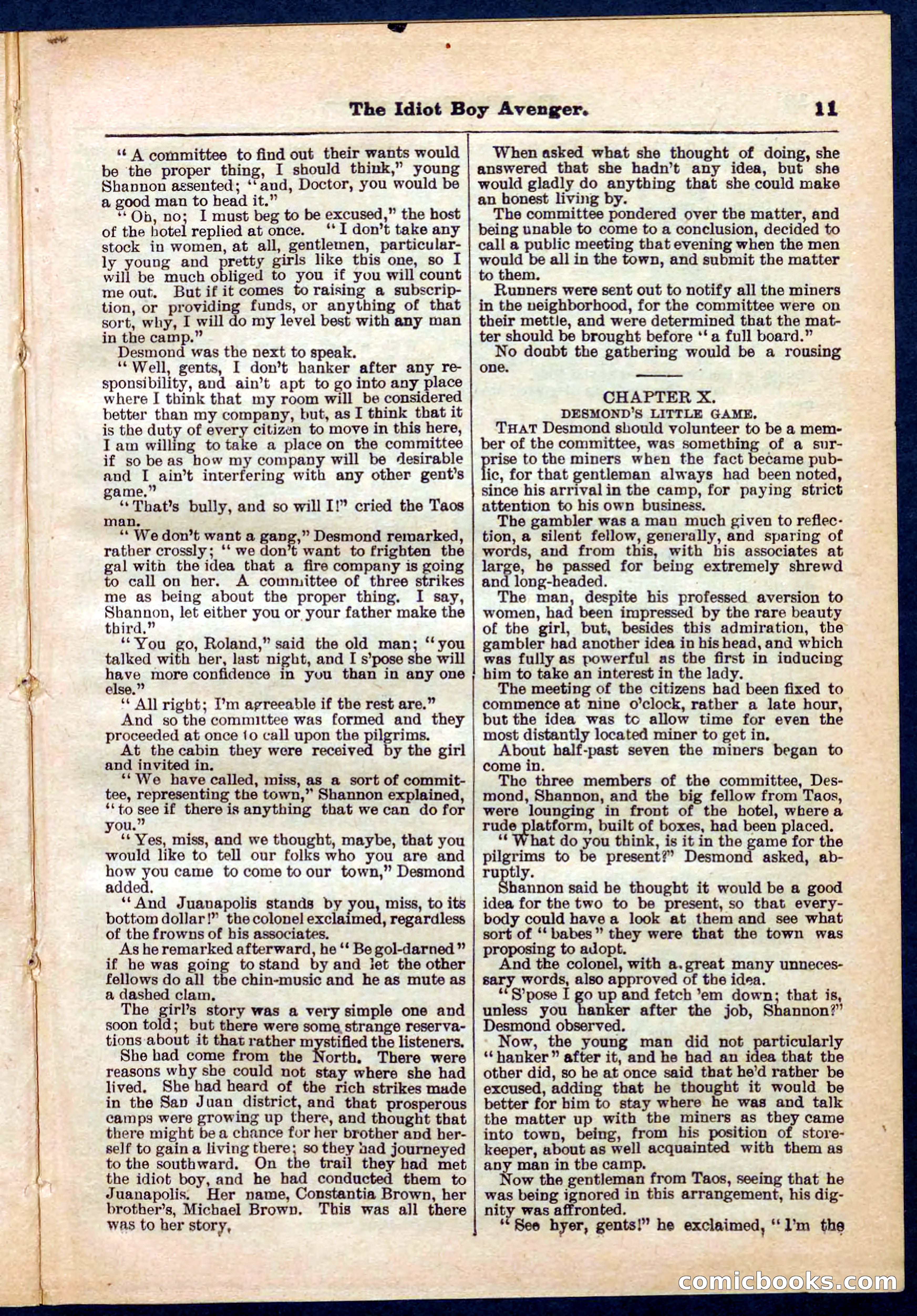 Beadle's Pocket Library No. 277 — page 11 of 32