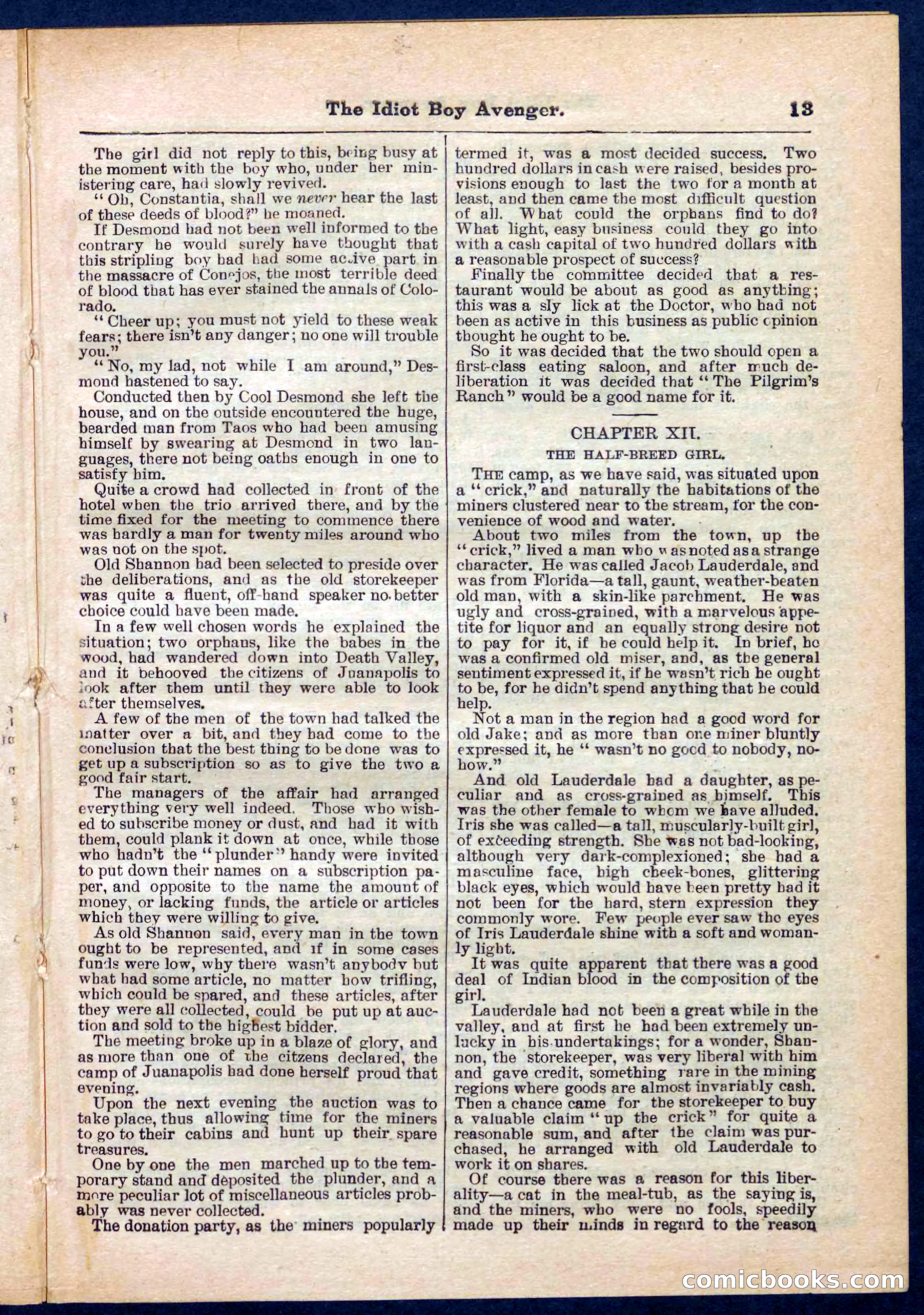 Beadle's Pocket Library No. 277 — page 13 of 32