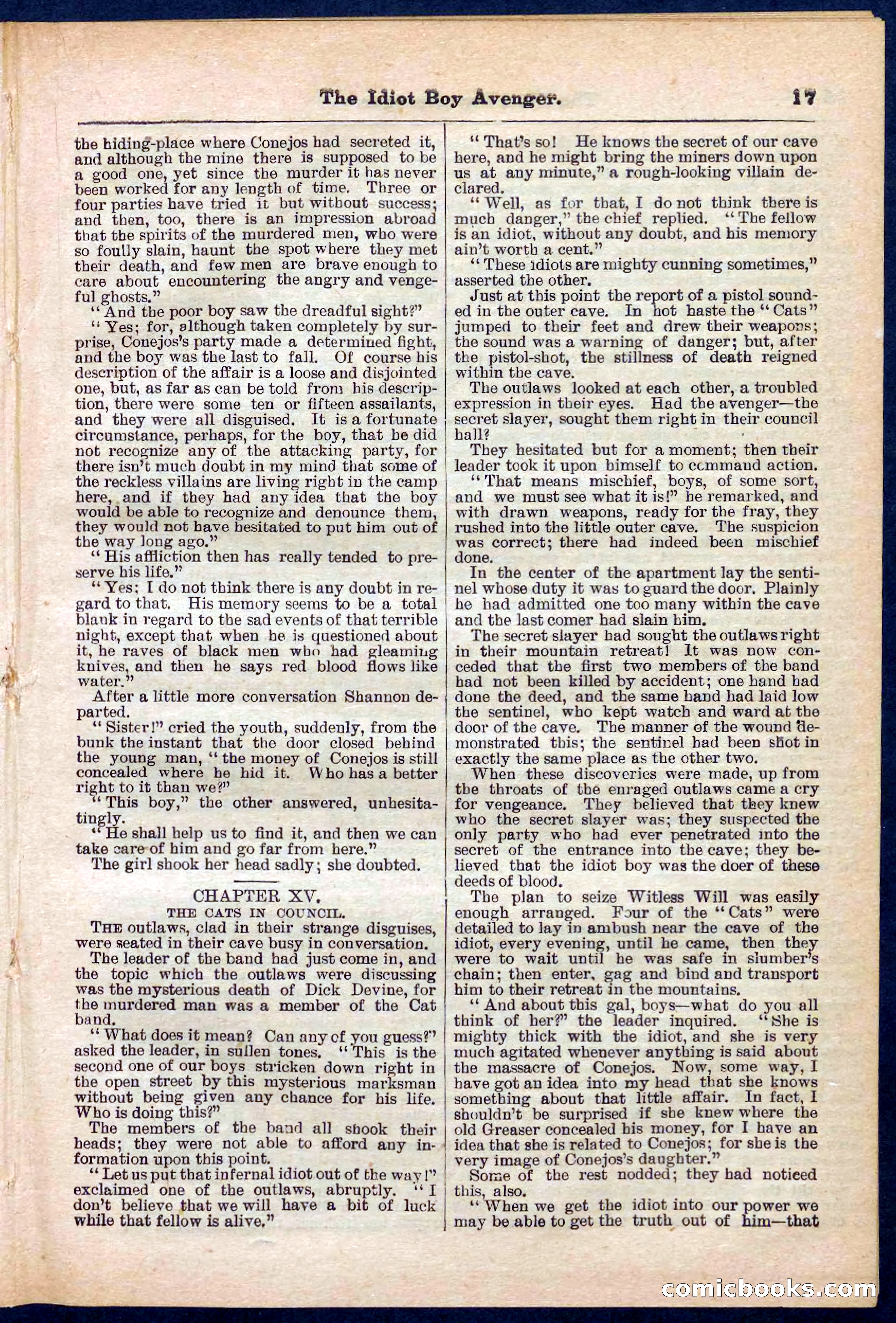 Beadle's Pocket Library No. 277 — page 17 of 32