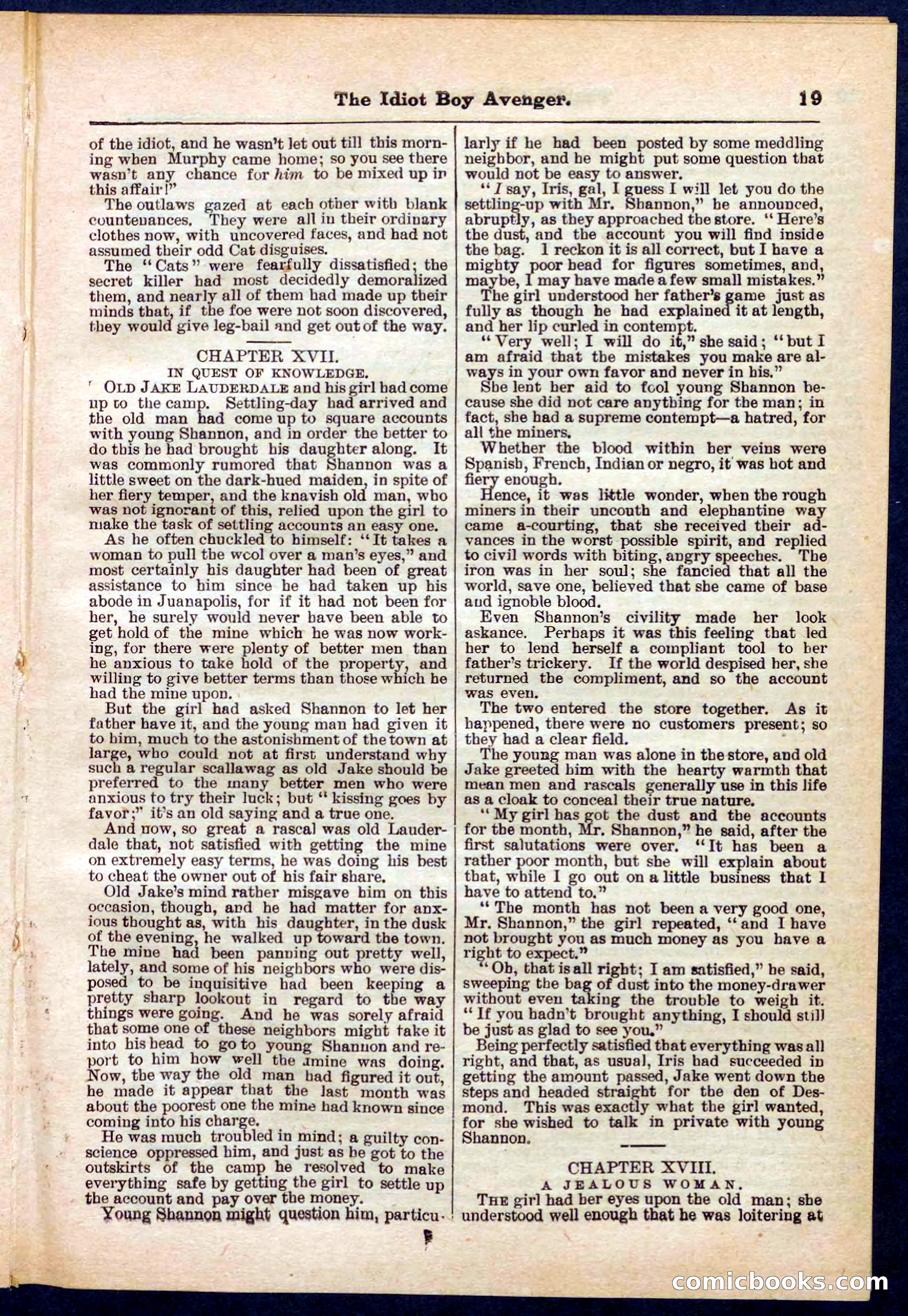 Beadle's Pocket Library No. 277 — page 19 of 32
