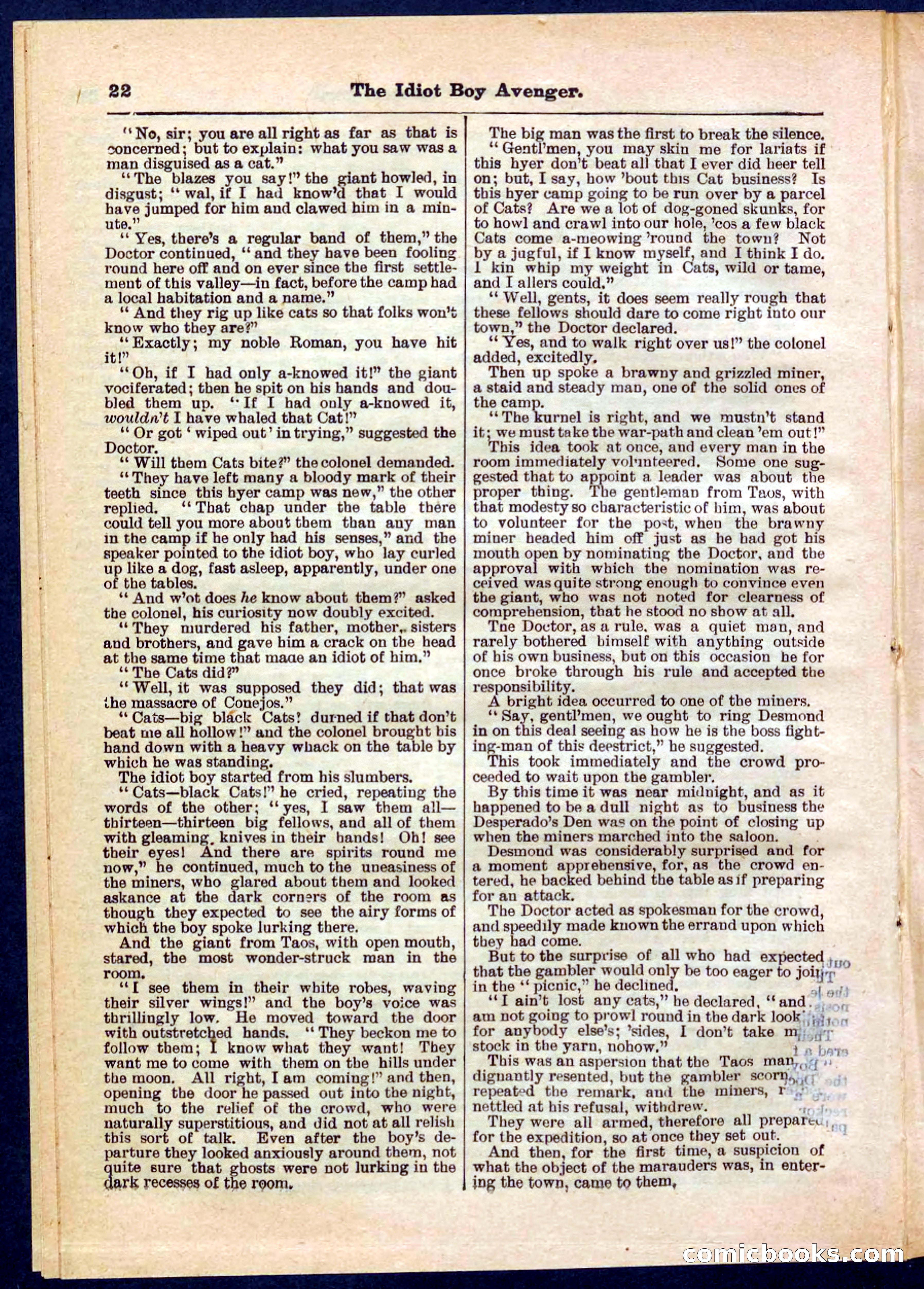 Beadle's Pocket Library No. 277 — page 22 of 32