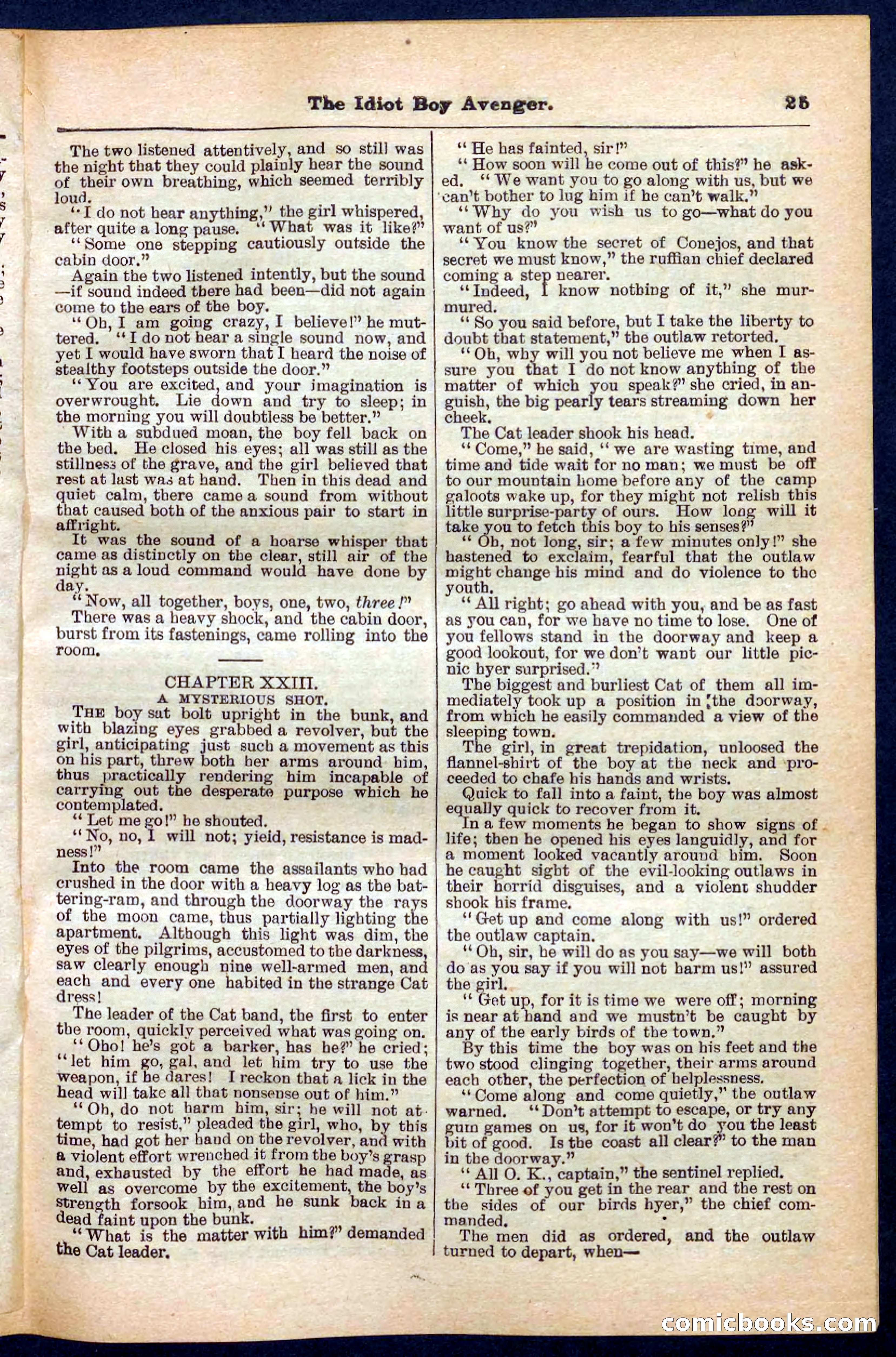 Beadle's Pocket Library No. 277 — page 25 of 32