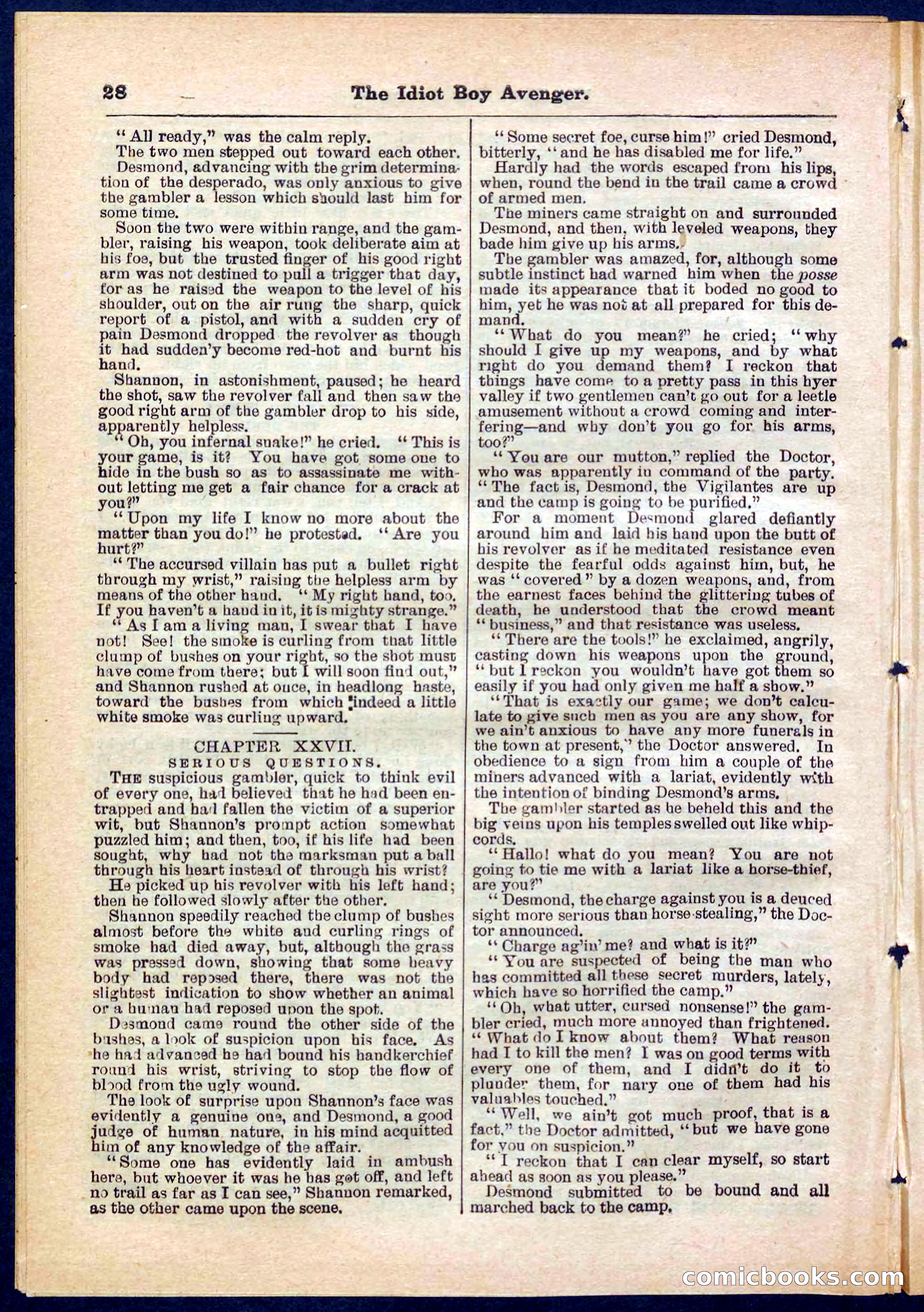 Beadle's Pocket Library No. 277 — page 28 of 32