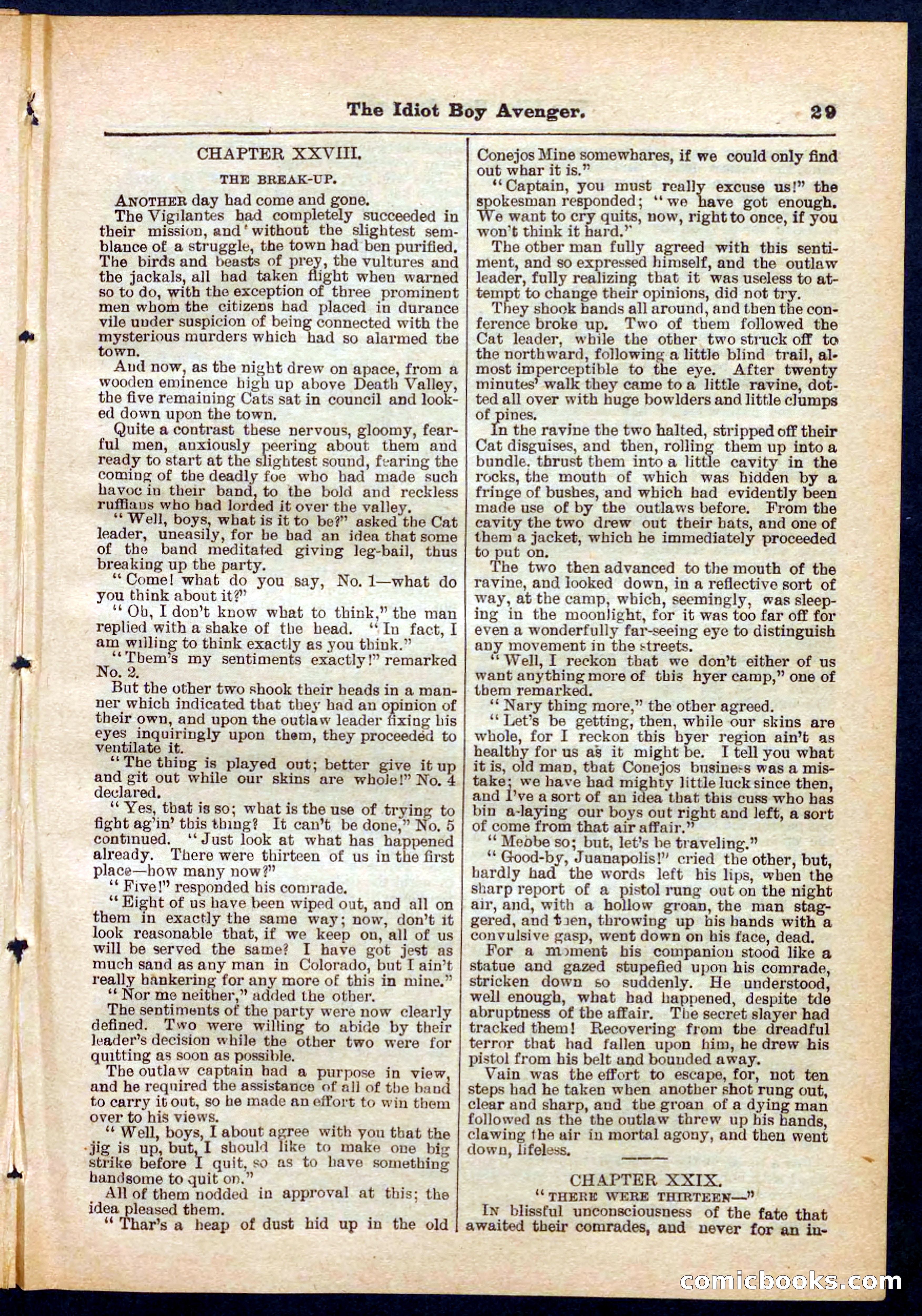 Beadle's Pocket Library No. 277 — page 29 of 32