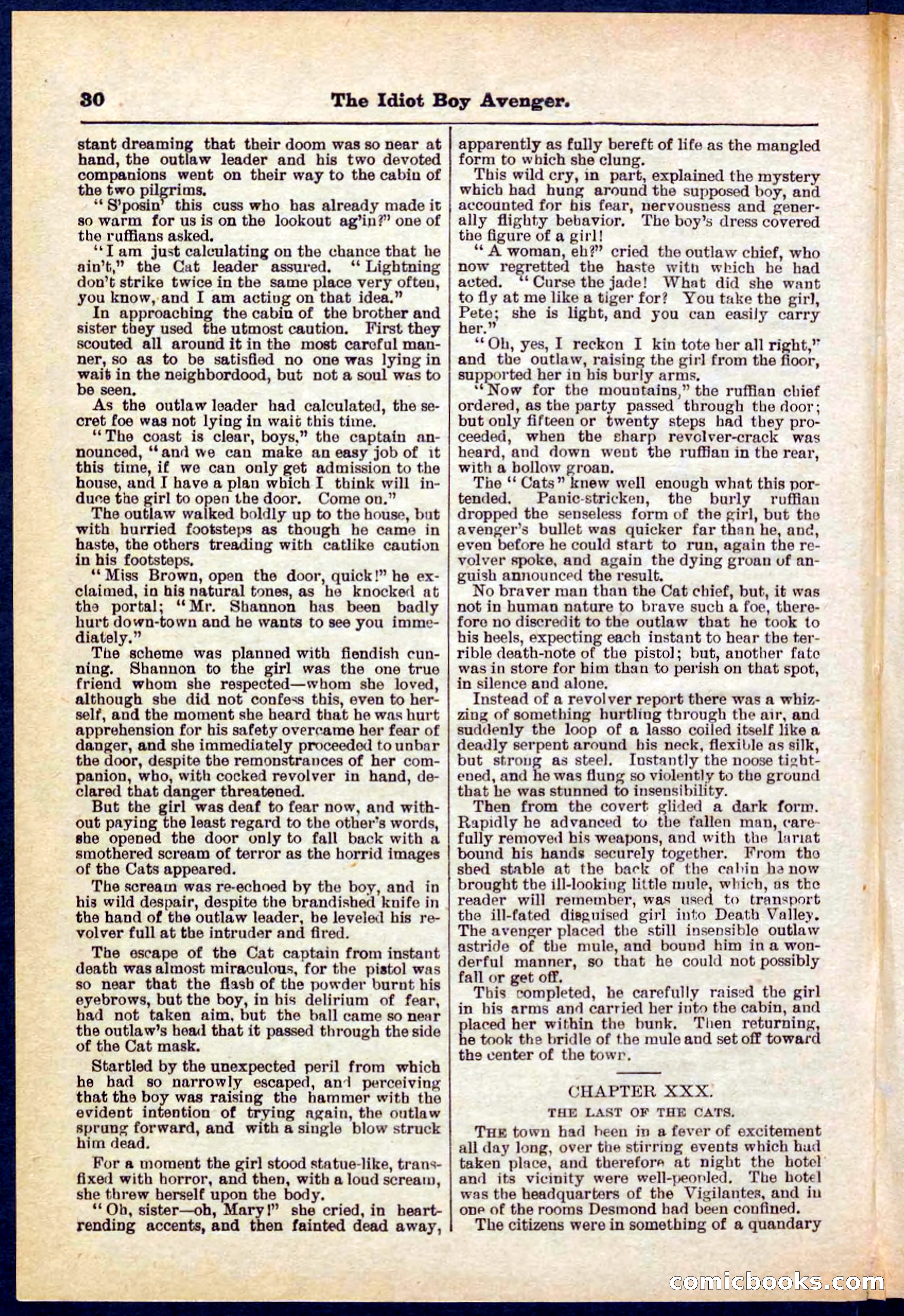 Beadle's Pocket Library No. 277 — page 30 of 32